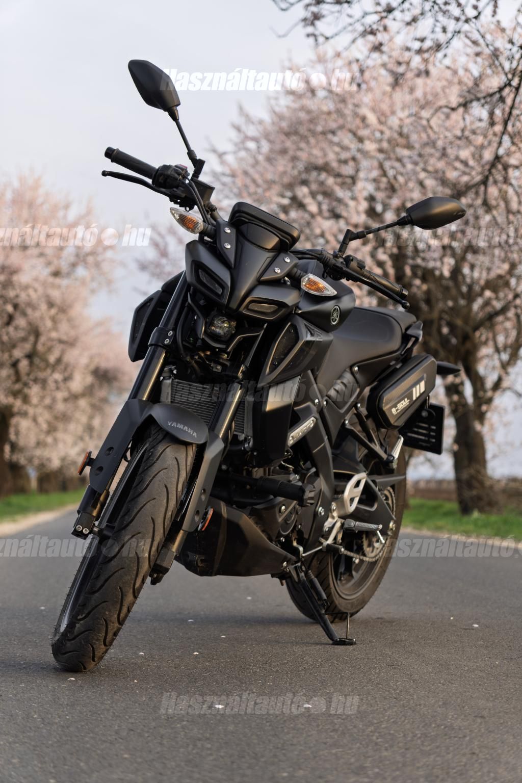 YAMAHA MT-125 2025 - 1