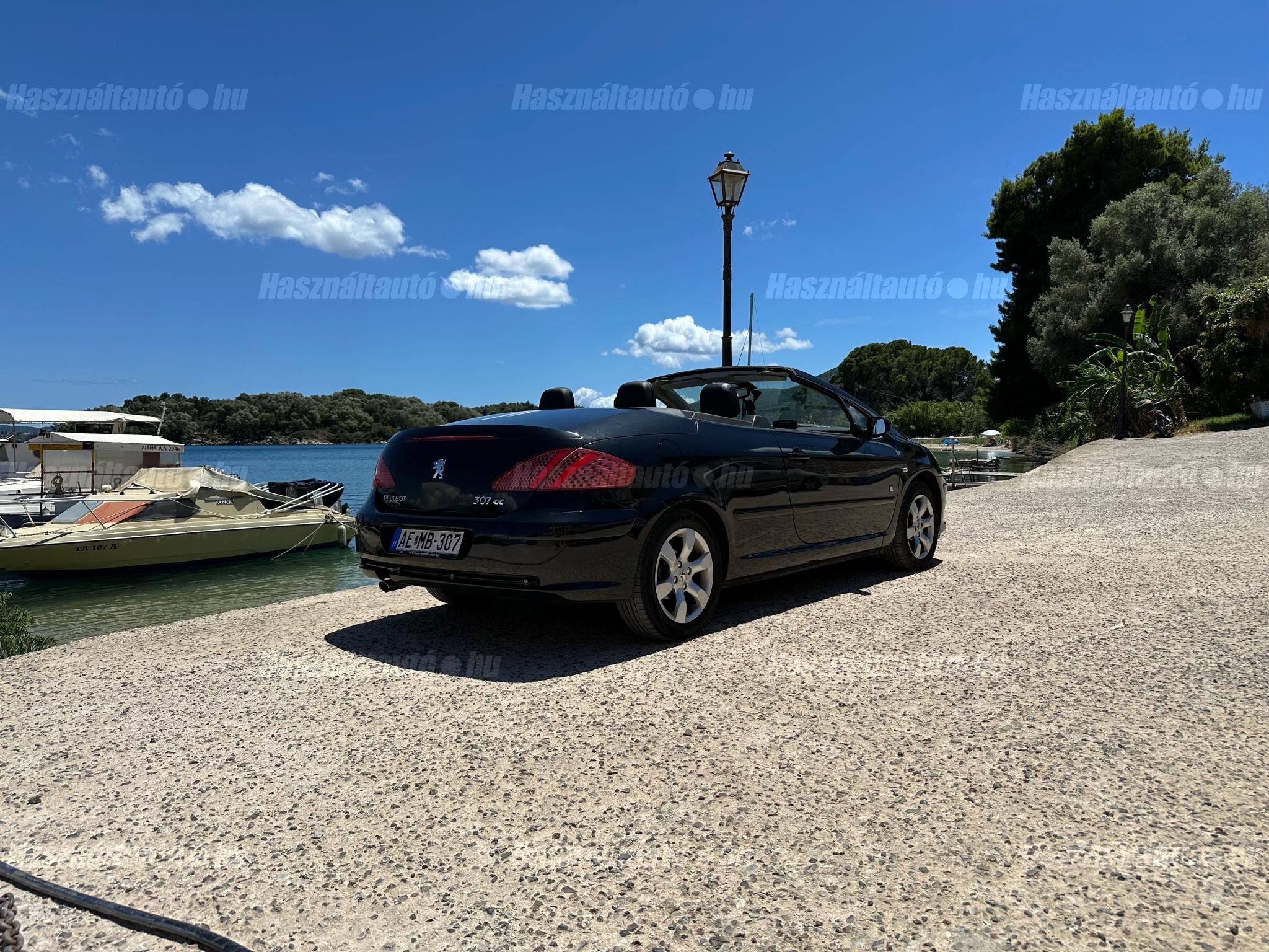 PEUGEOT 307 2007/10 - 1