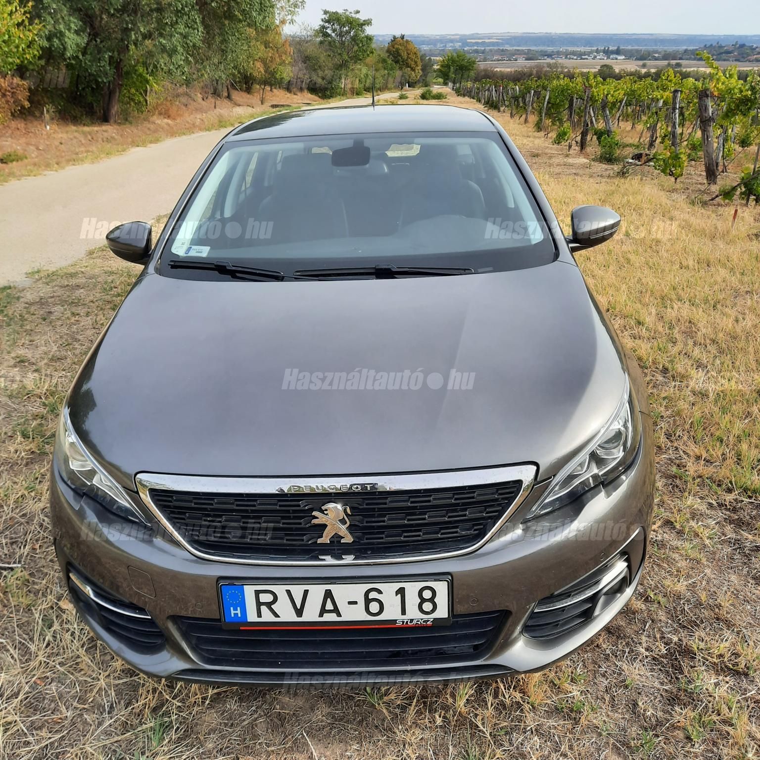 PEUGEOT 308 2019/12 - 1