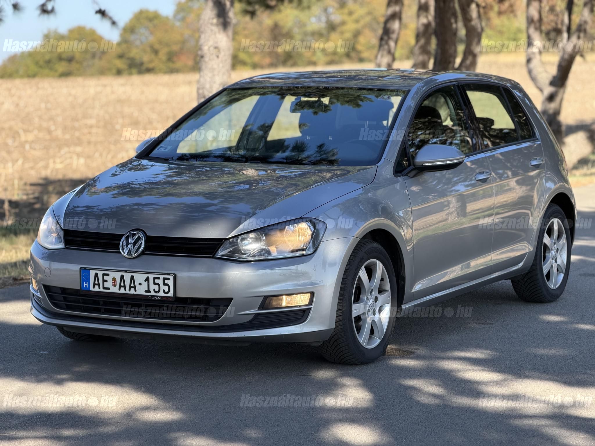 VOLKSWAGEN GOLF VII 2013/5 - 1