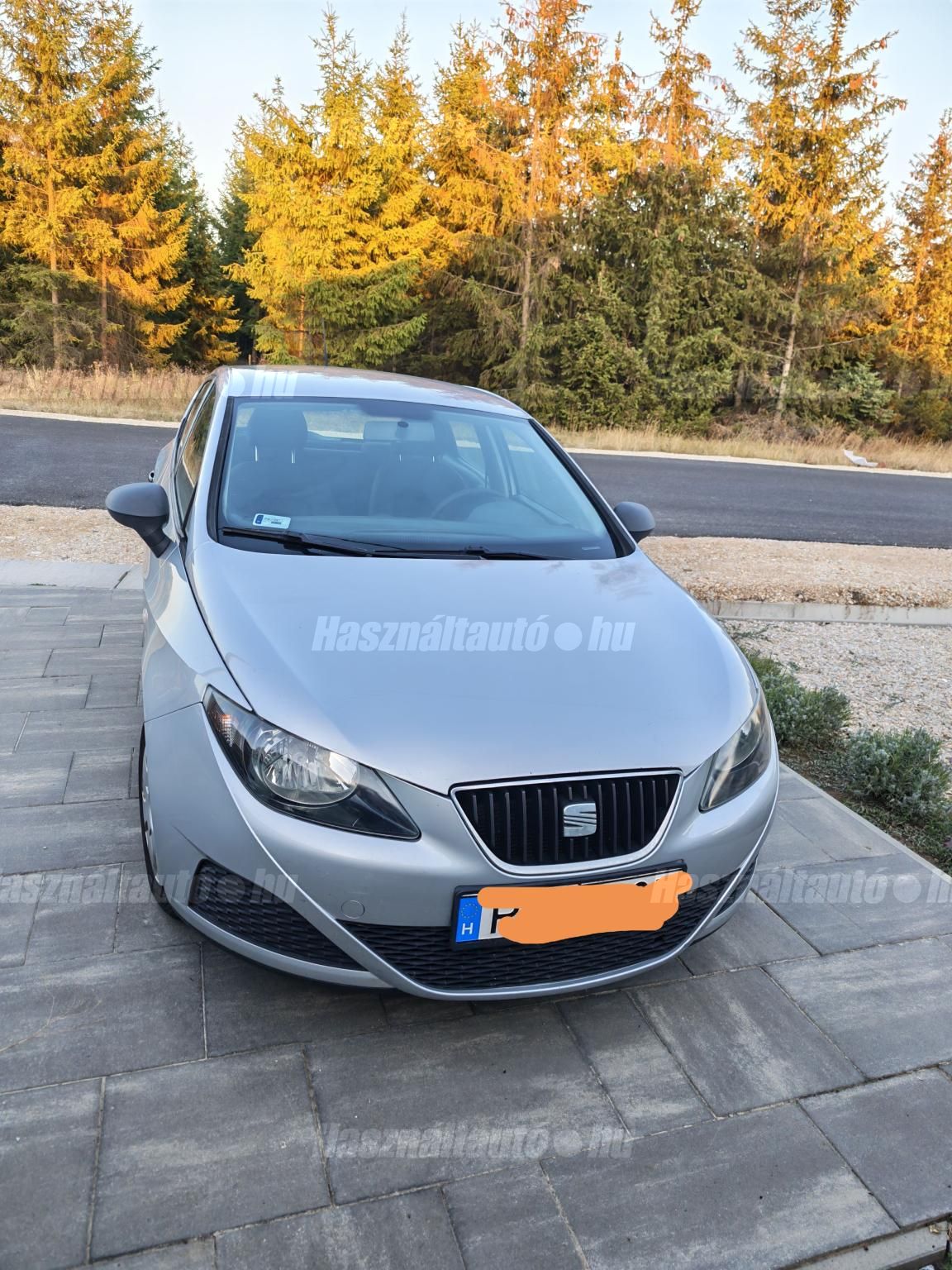 SEAT IBIZA 2011/11 - 1
