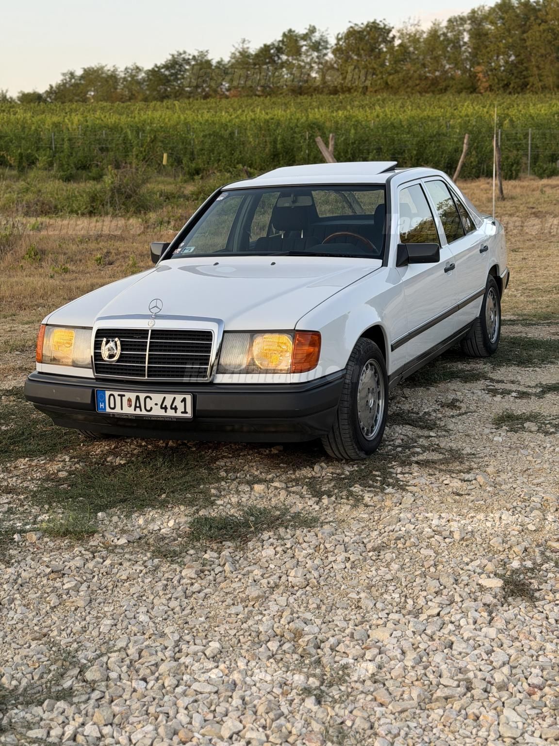 MERCEDES-BENZ W 124 1987/3 - 1