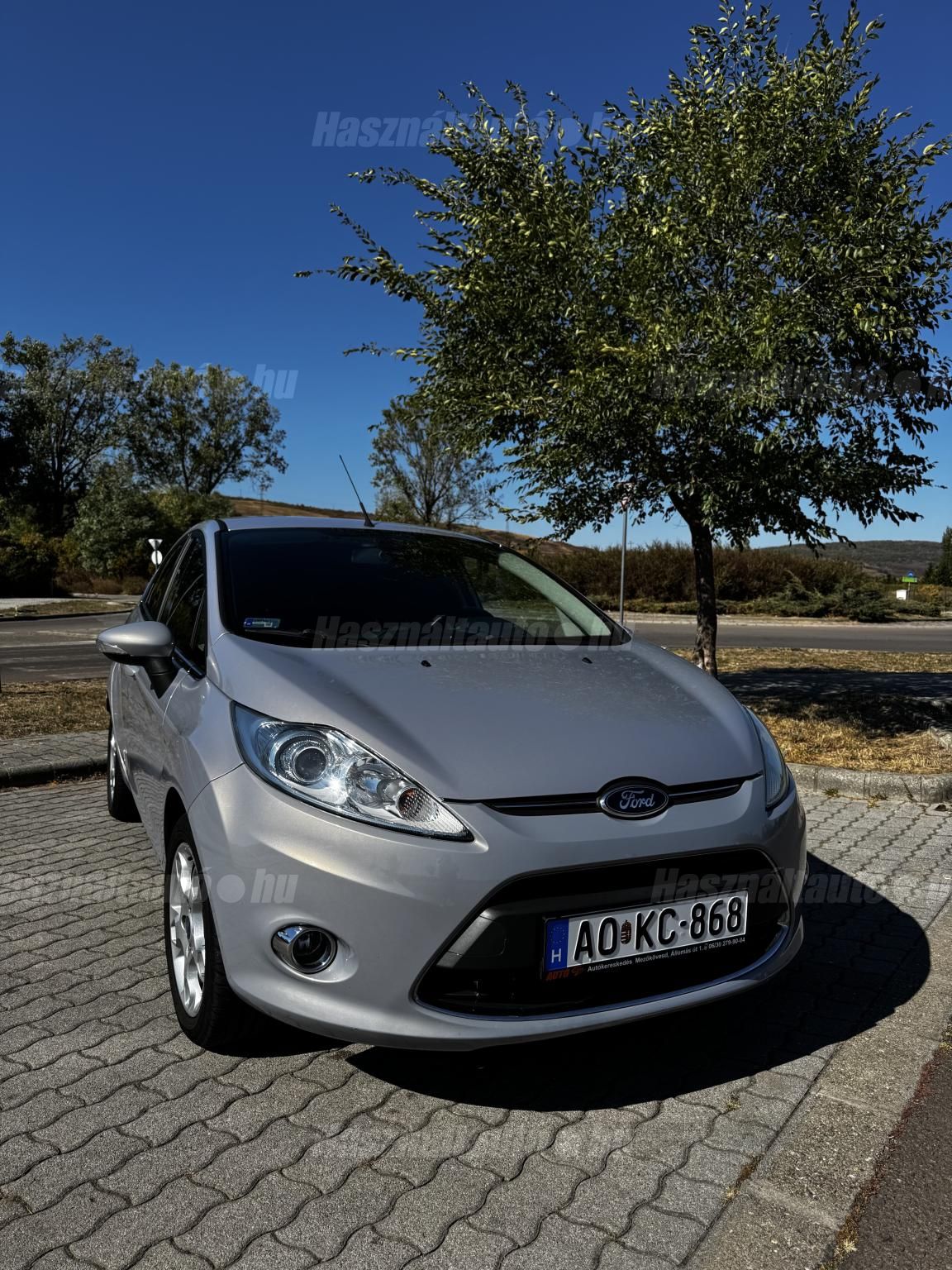 FORD FIESTA 2012/10 - 1