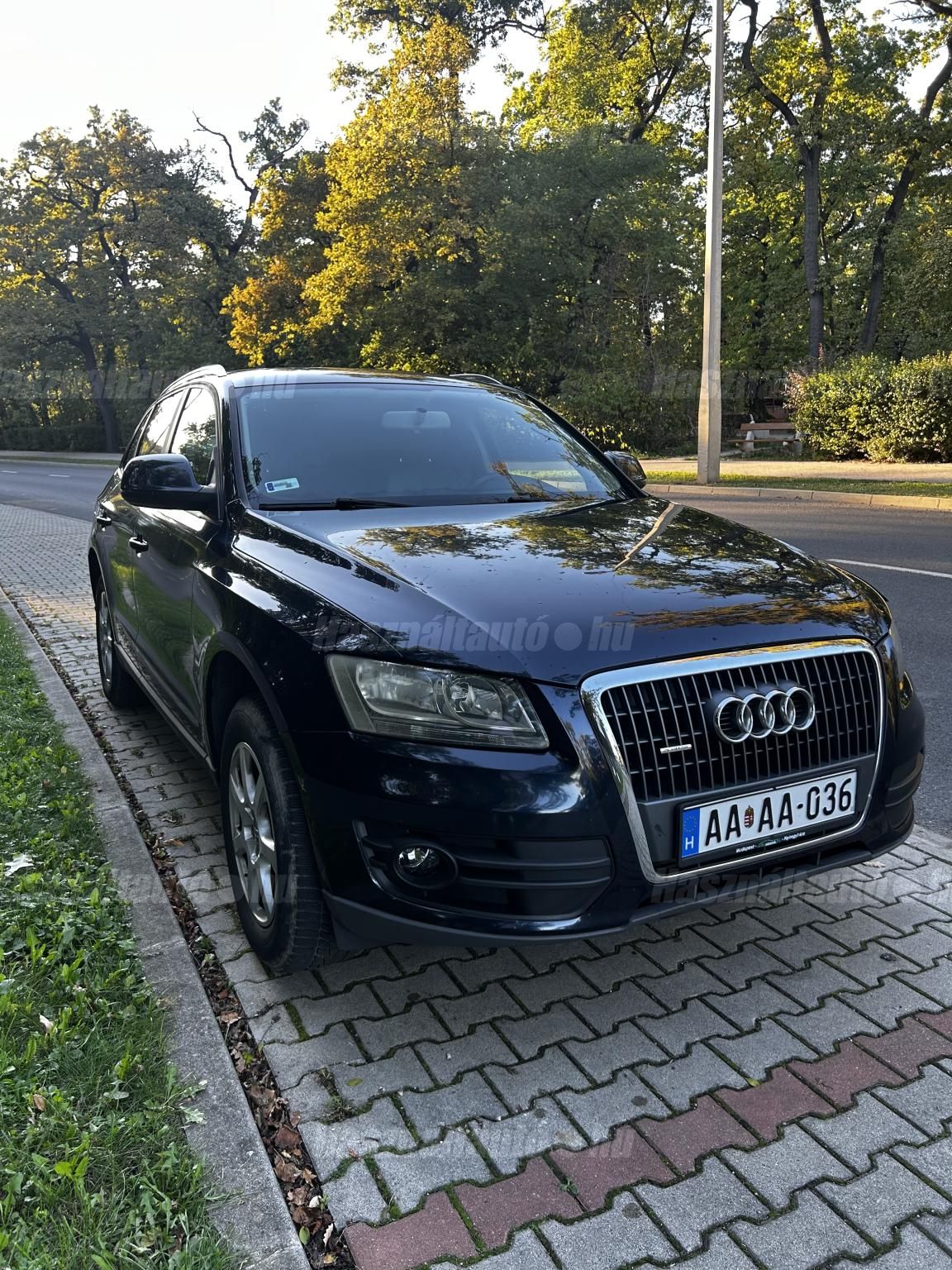 AUDI Q5 2009/9 - 1