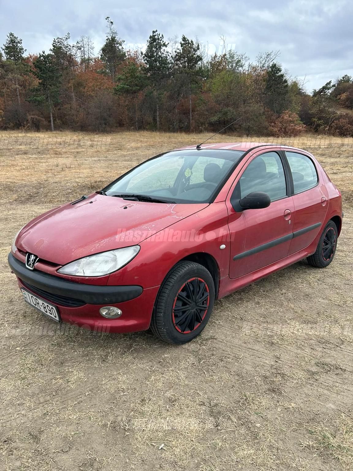 PEUGEOT 206 2002 - 1