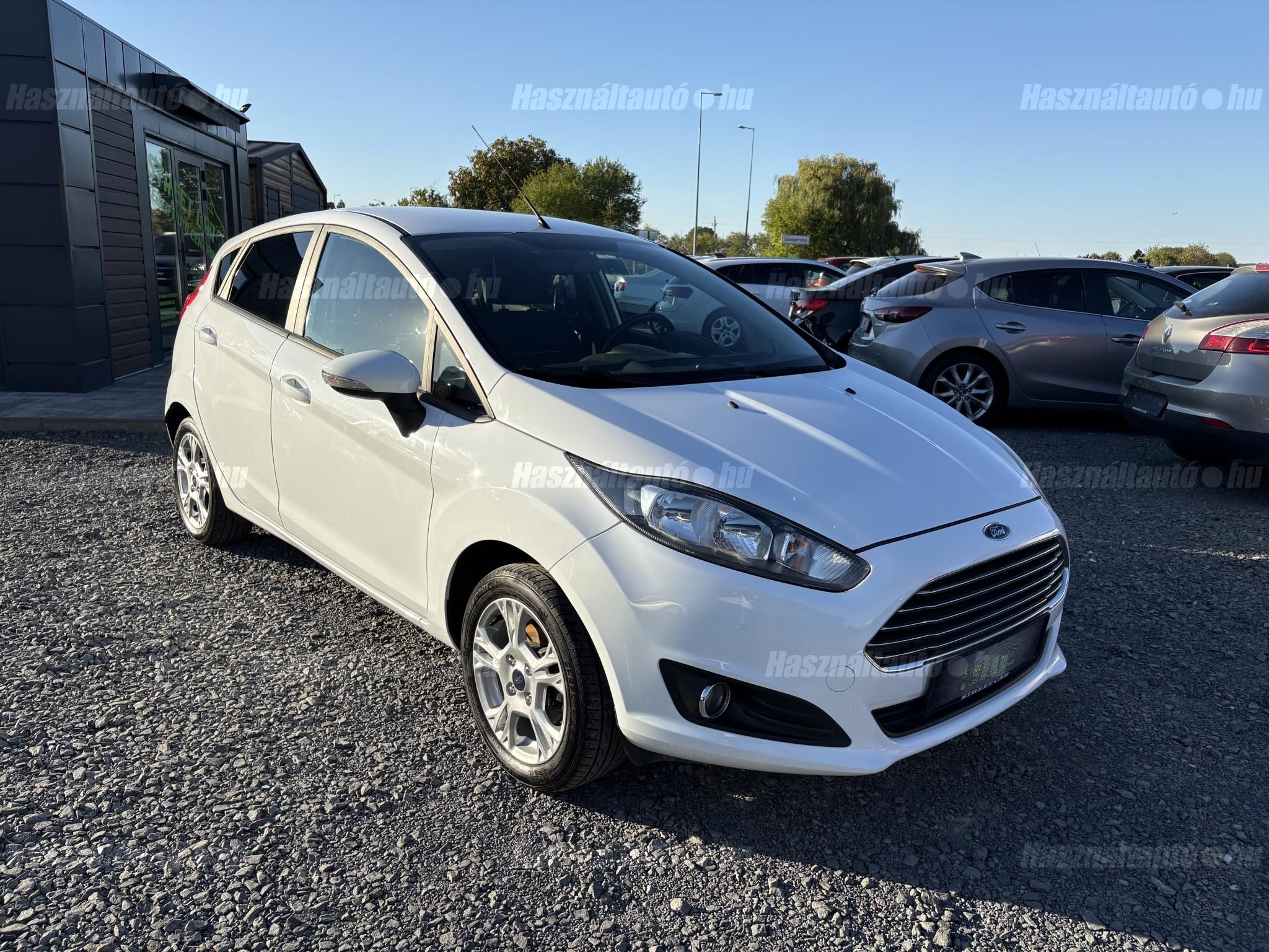 FORD FIESTA 2014/4 - 1