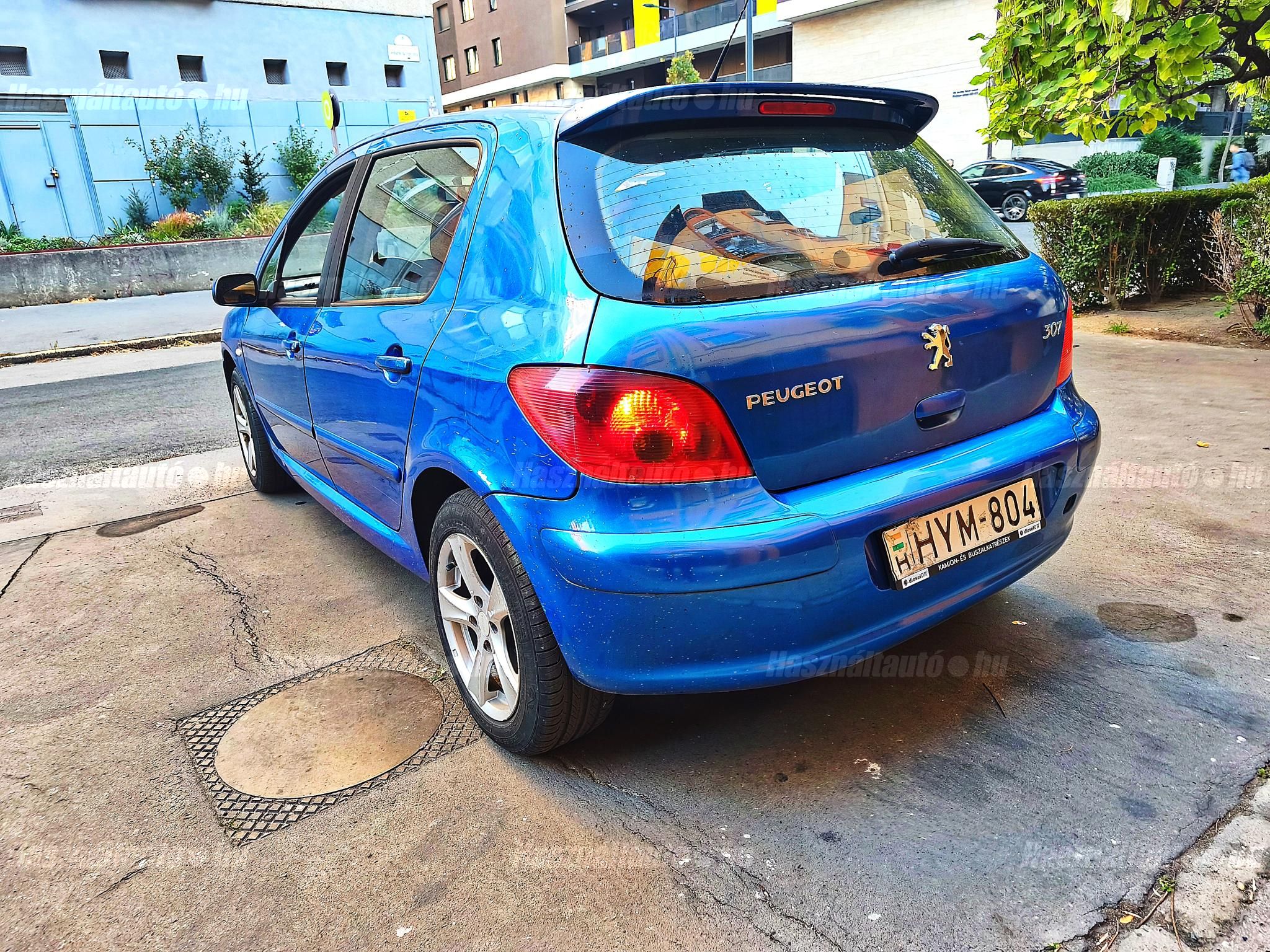 PEUGEOT 307 2001 - 1
