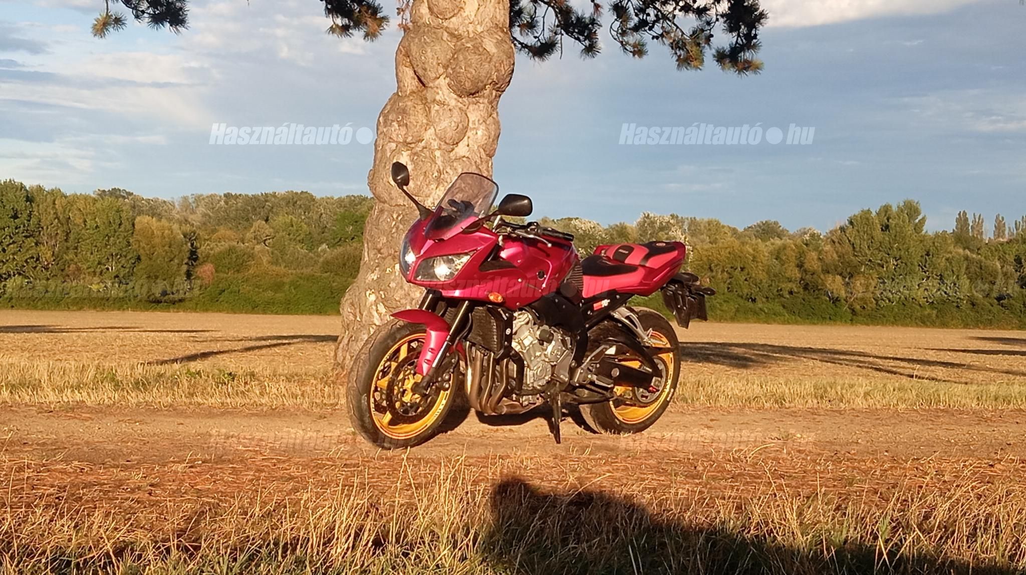YAMAHA FZ1-S 2008 - 1