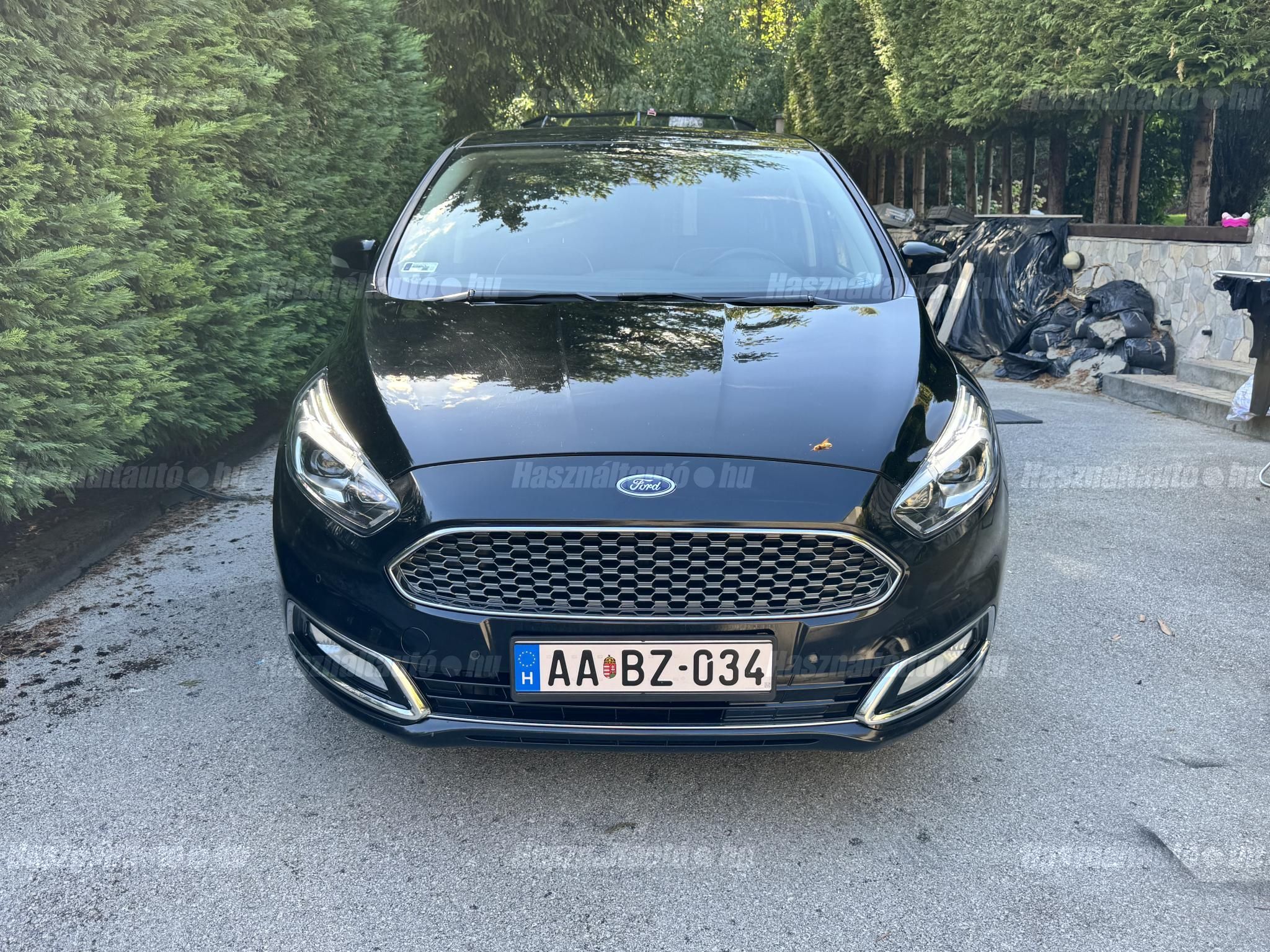 FORD S-MAX 2019/11 - 1