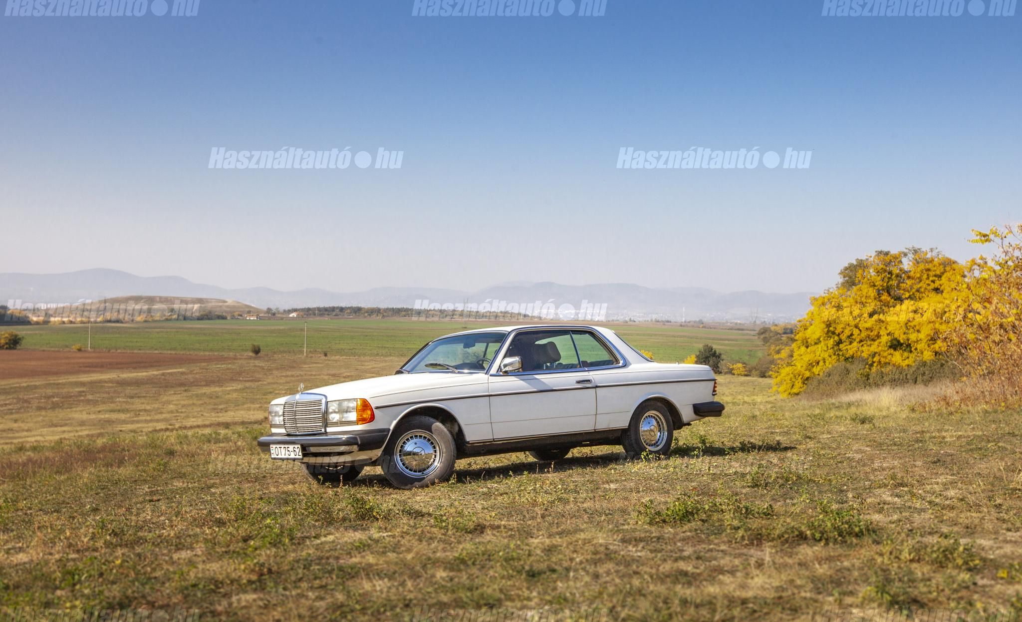 MERCEDES-BENZ W 123 1978/7 - 1