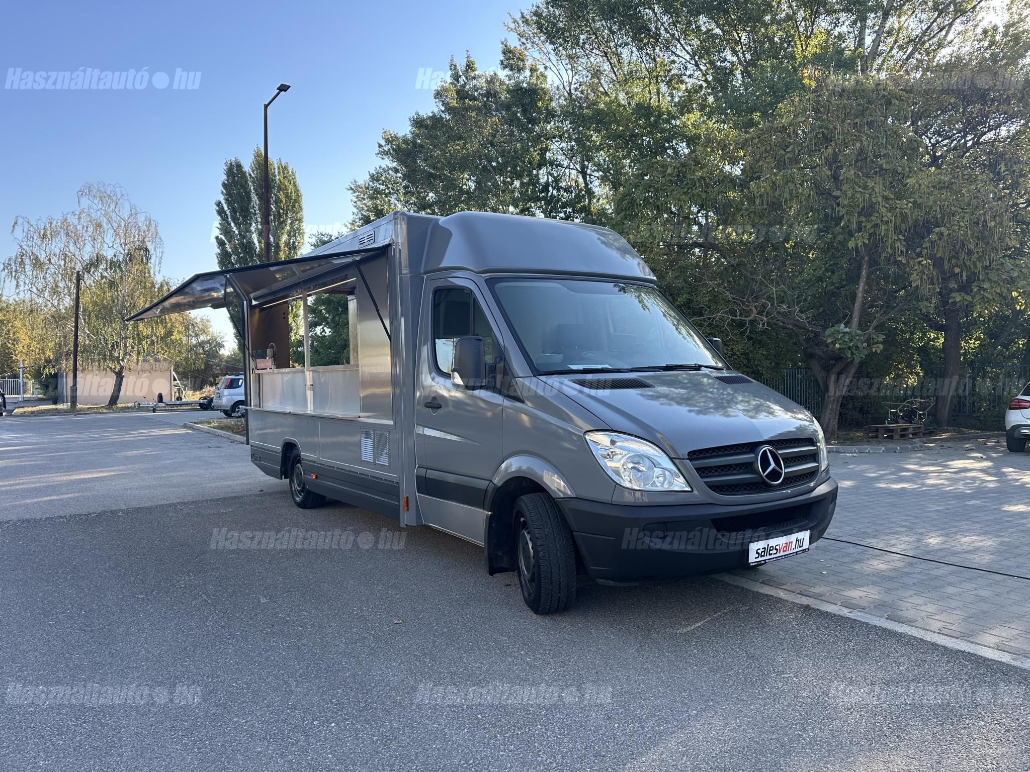 MERCEDES-BENZ SPRINTER 2011/3 - 1