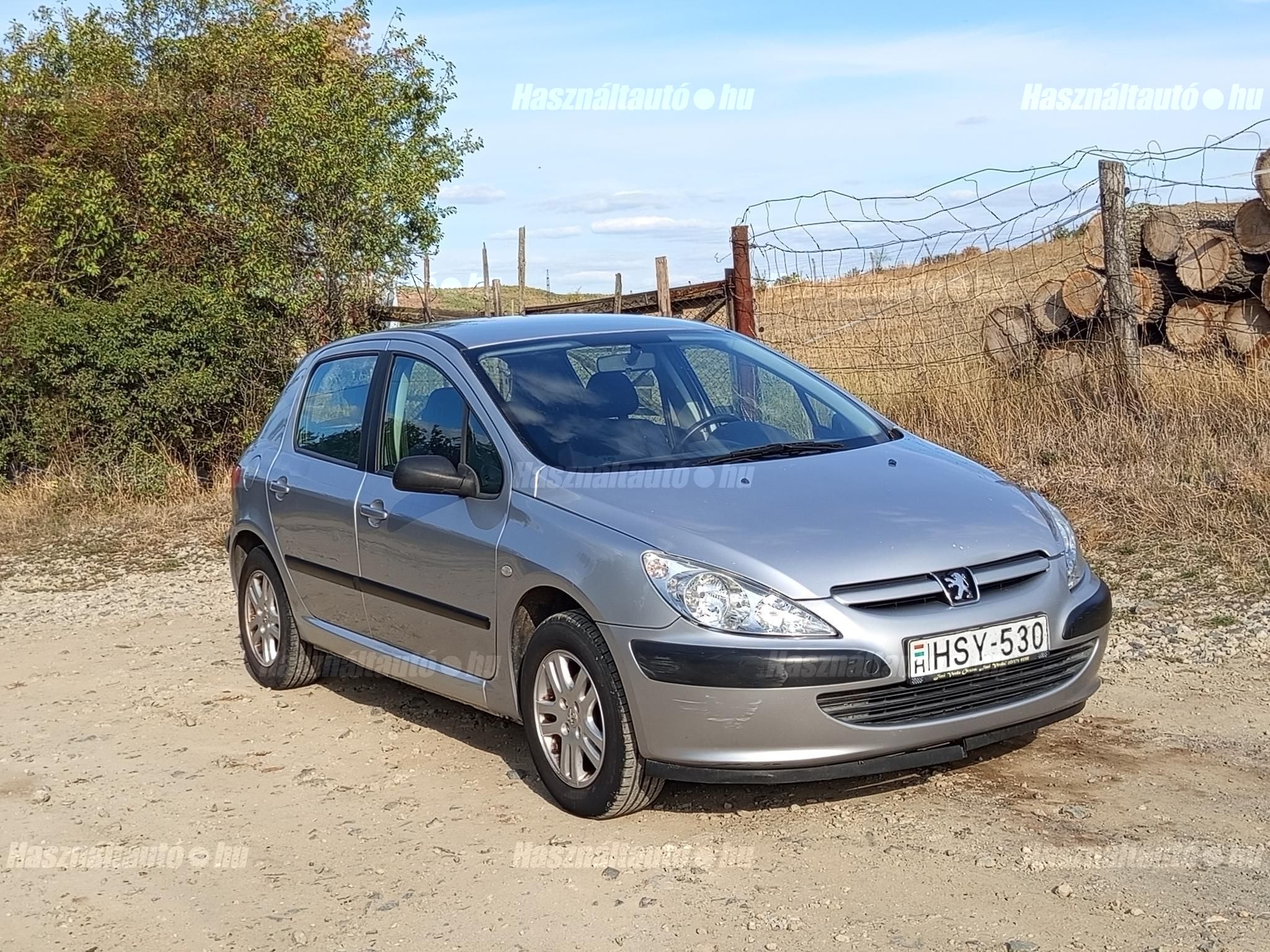 PEUGEOT 307 2001/9 - 1