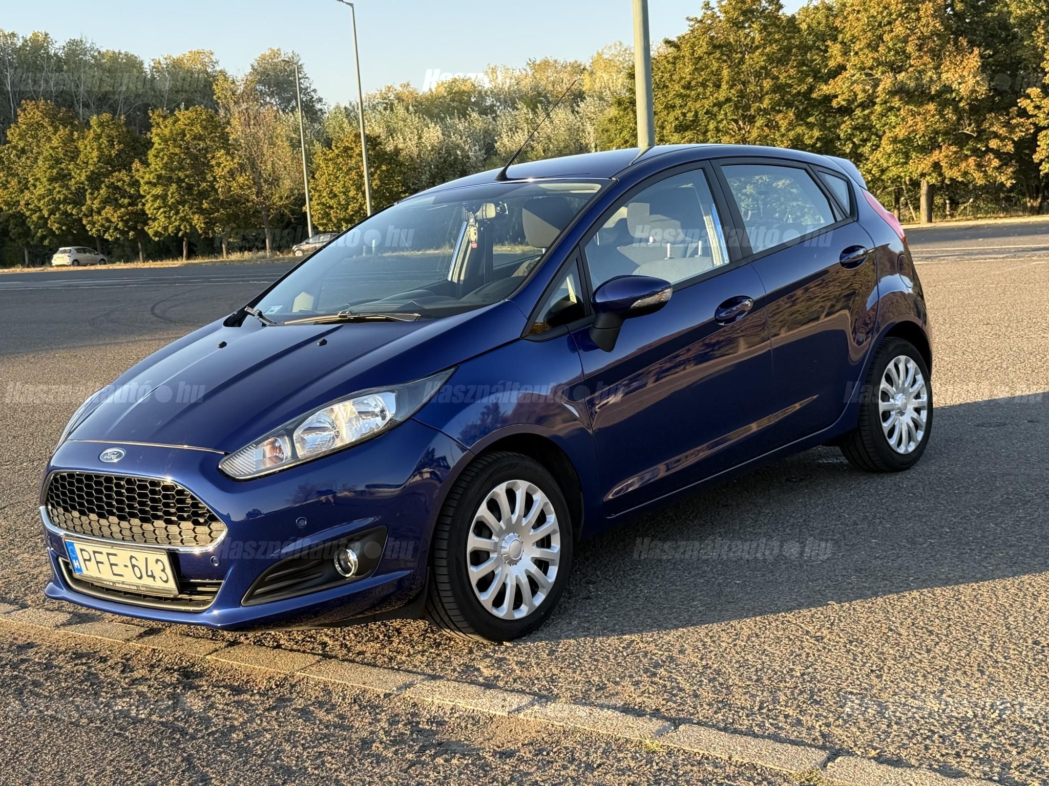 FORD FIESTA 2016/10 - 1
