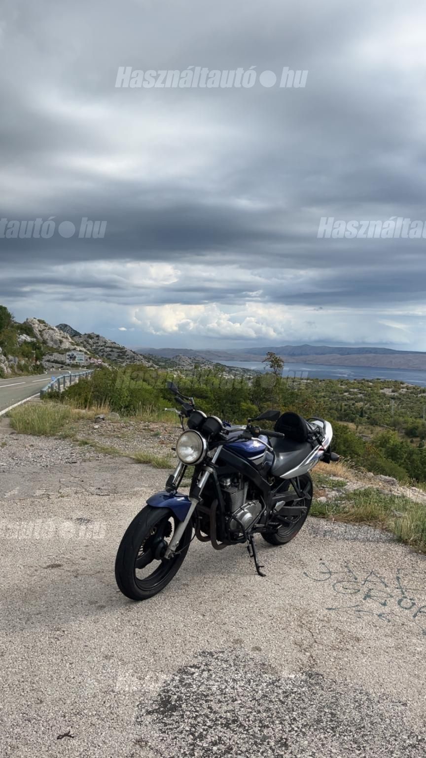 SUZUKI GS 500 E 2006/1 - 1