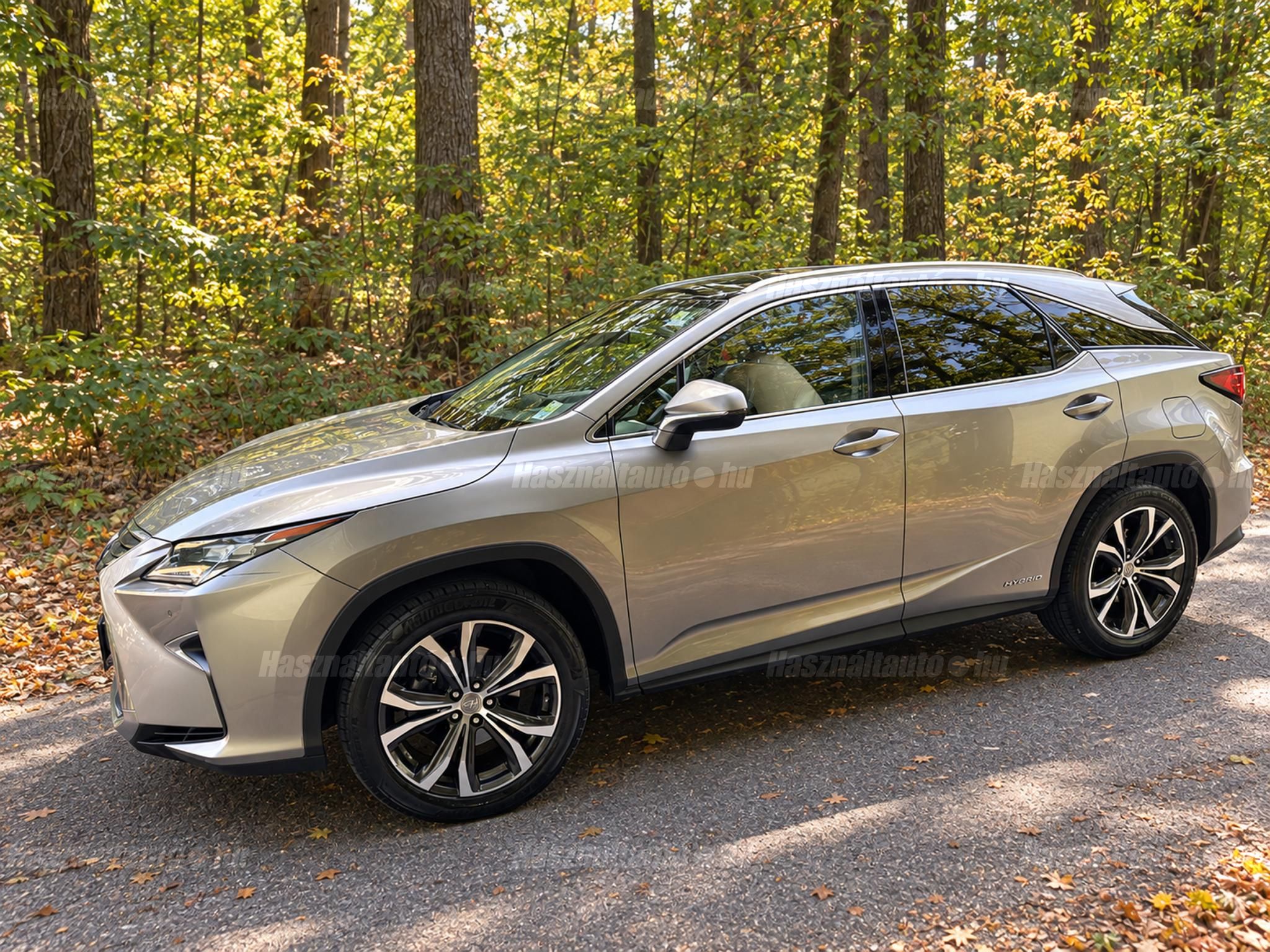 LEXUS RX 2017/8 - 1