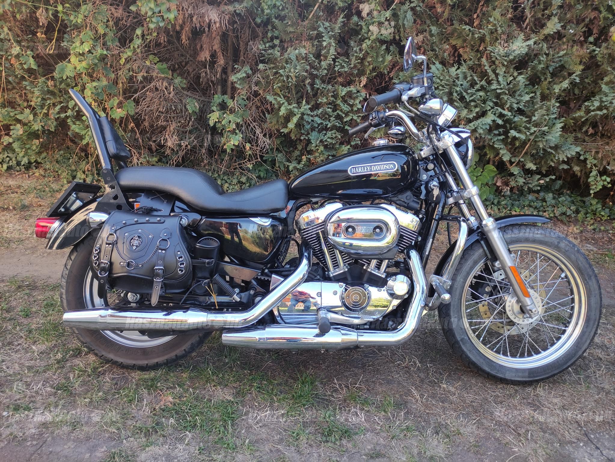 HARLEY-DAVIDSON SPORTSTER 2007/3 - 1