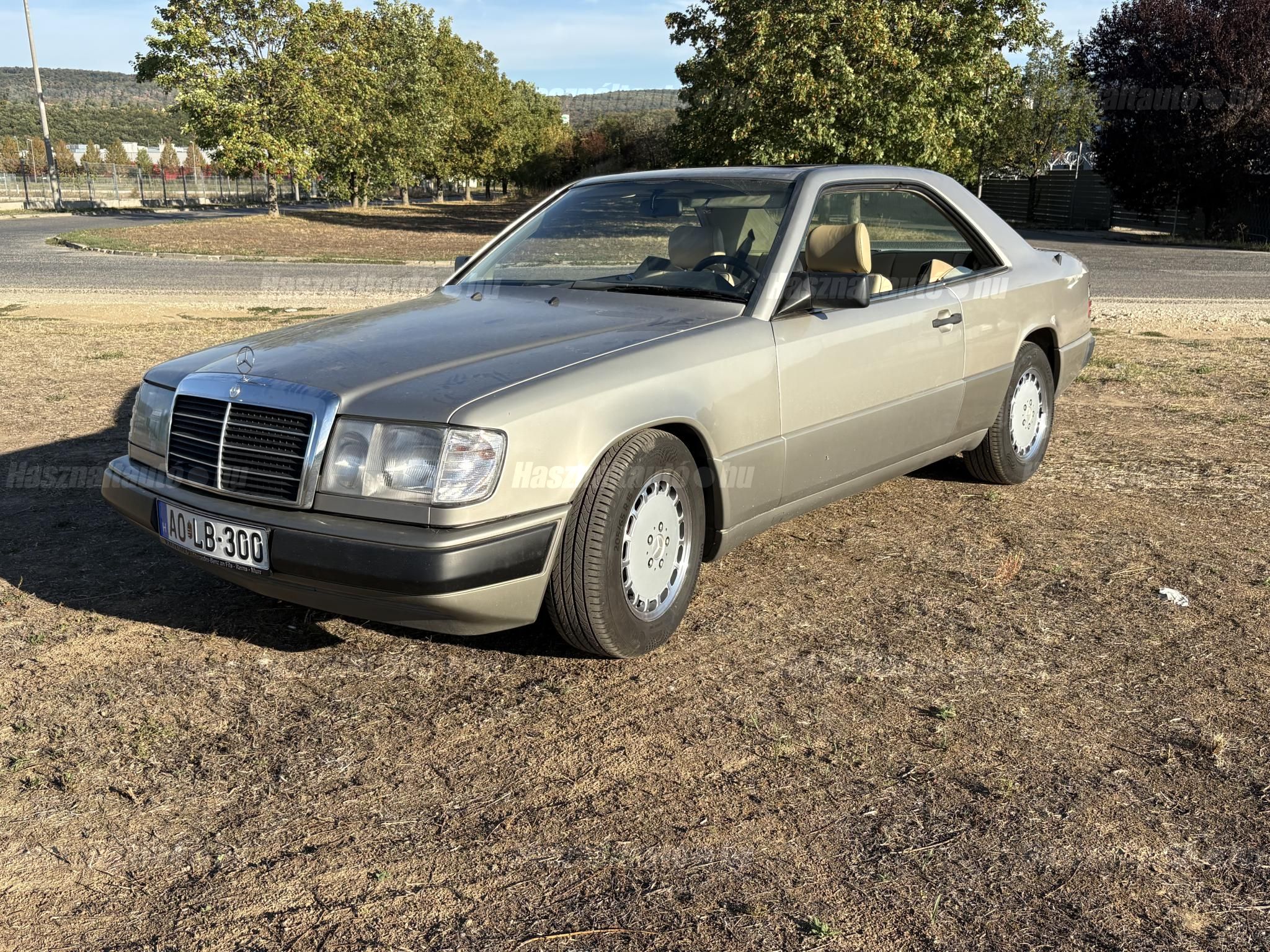 MERCEDES-BENZ W 124 1987/12 - 1