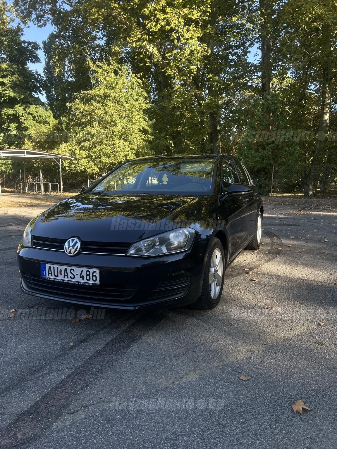 VOLKSWAGEN GOLF VII 2013/8 - 1