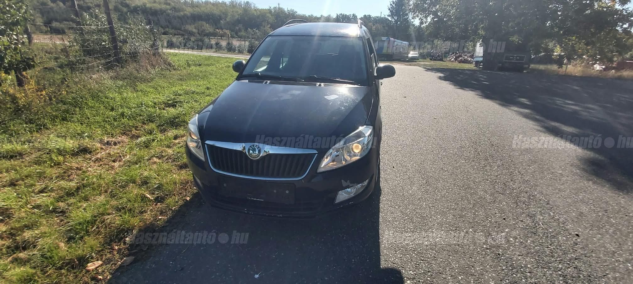 SKODA ROOMSTER 2012 - 1