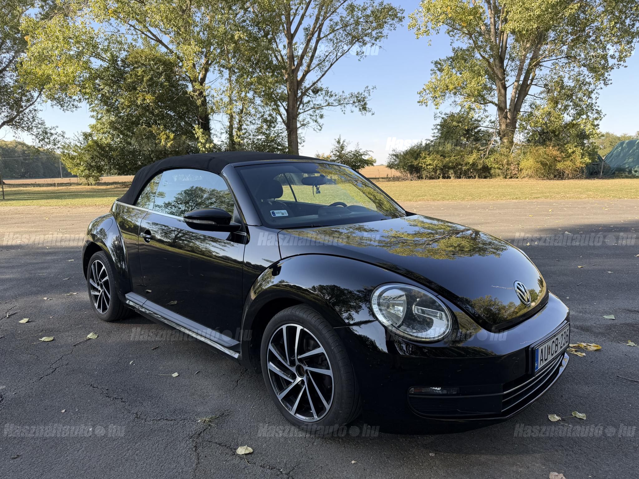 VOLKSWAGEN BEETLE 2013/4 - 1