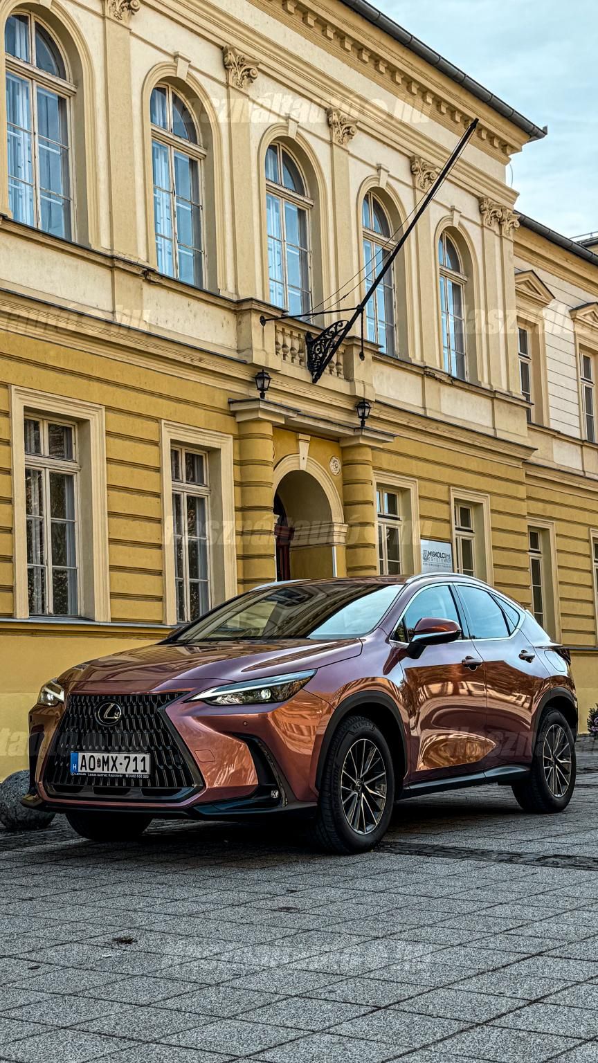 LEXUS NX 2025/3 - 1