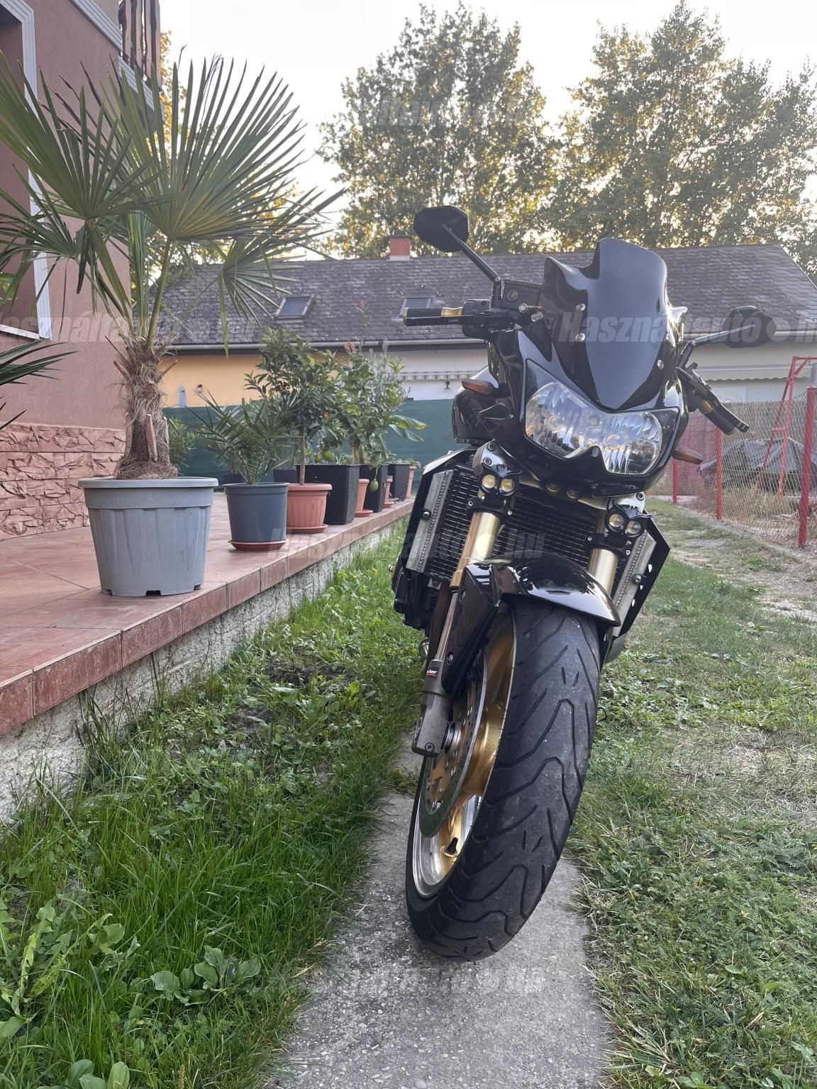 KAWASAKI Z 1000 2003/5 - 1