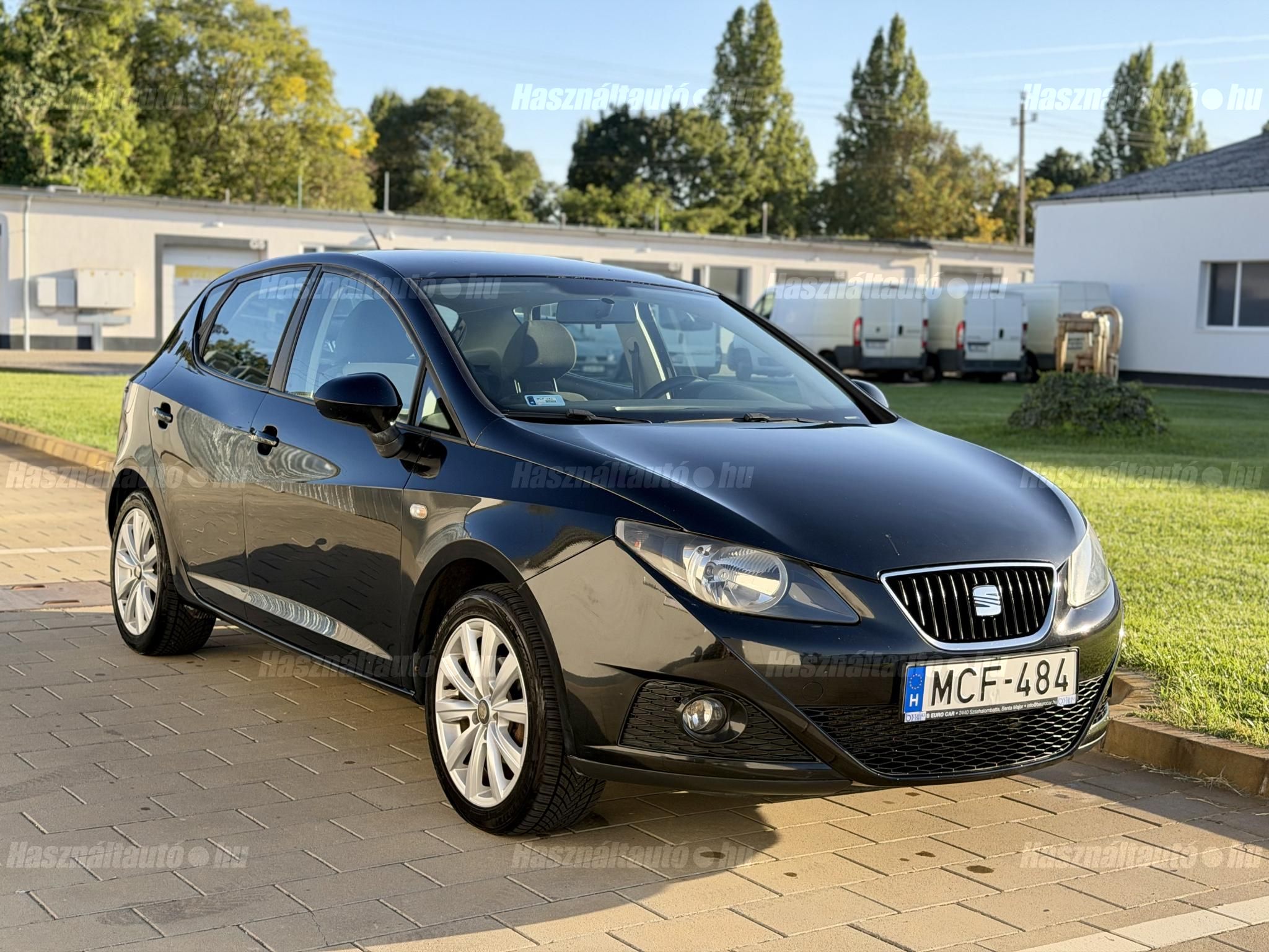SEAT IBIZA 2009/3 - 1