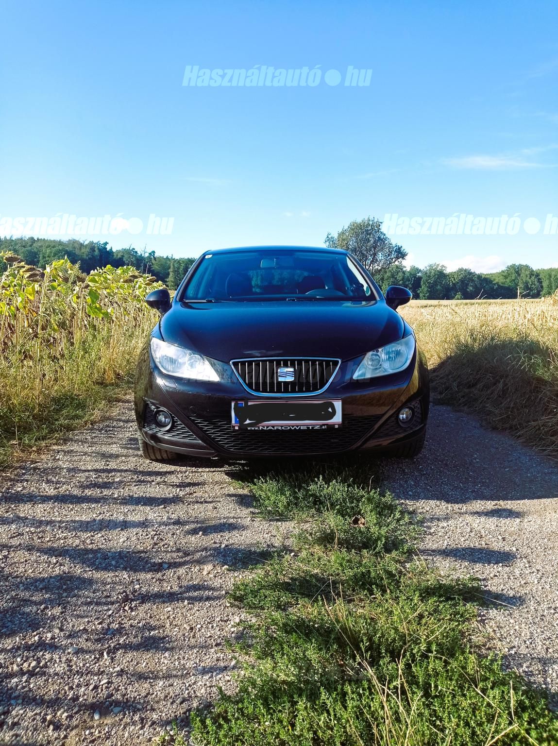 SEAT IBIZA 2011/2 - 1