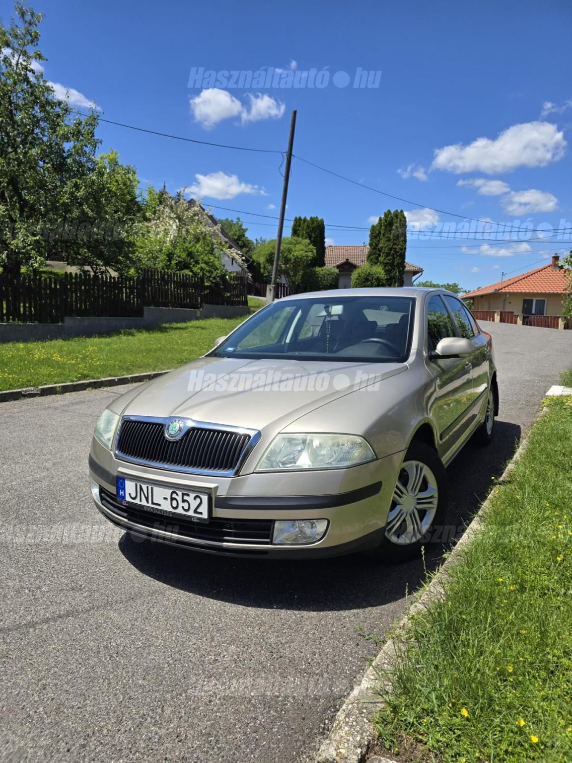 SKODA OCTAVIA 2005 - 1