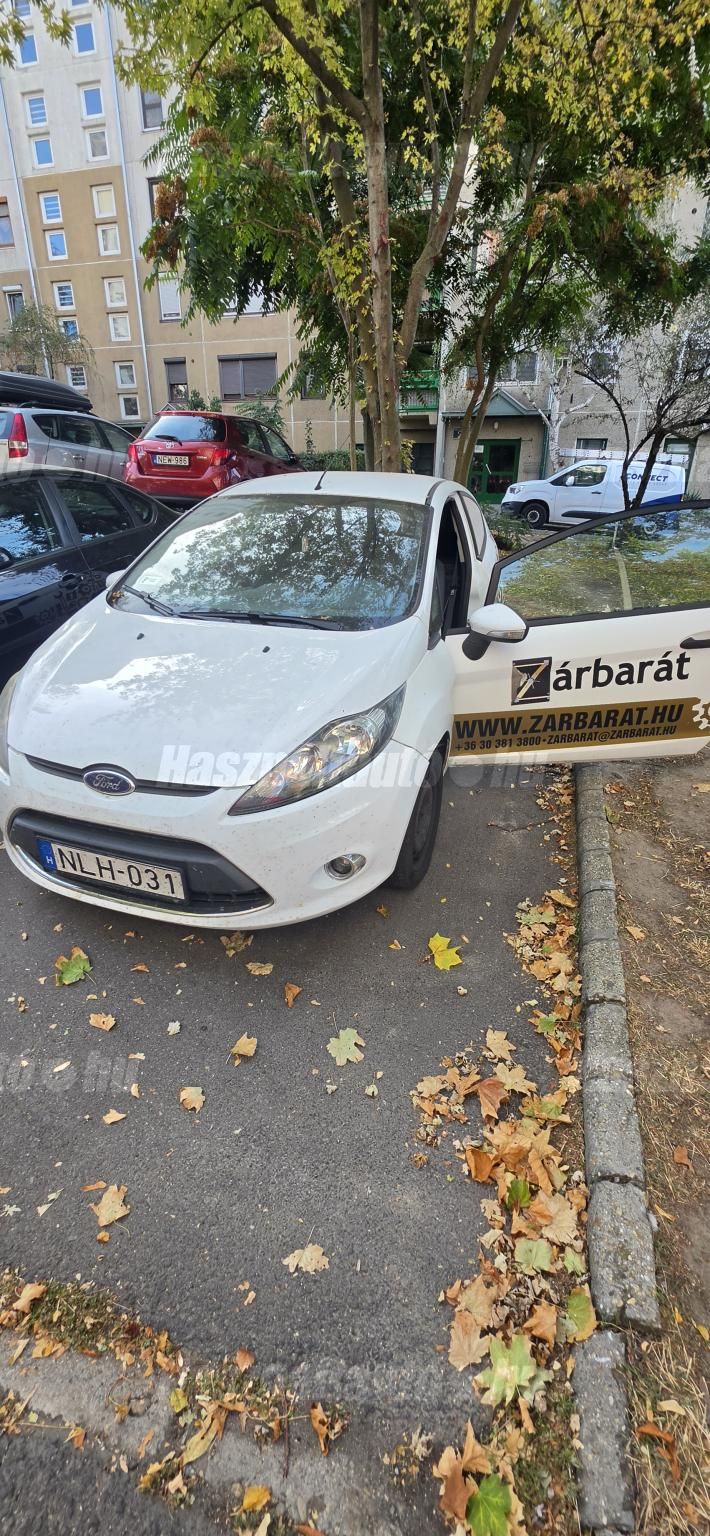 FORD FIESTA 2011 - 1