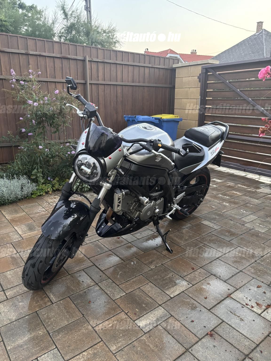 SUZUKI SV 650 N 2008 - 1