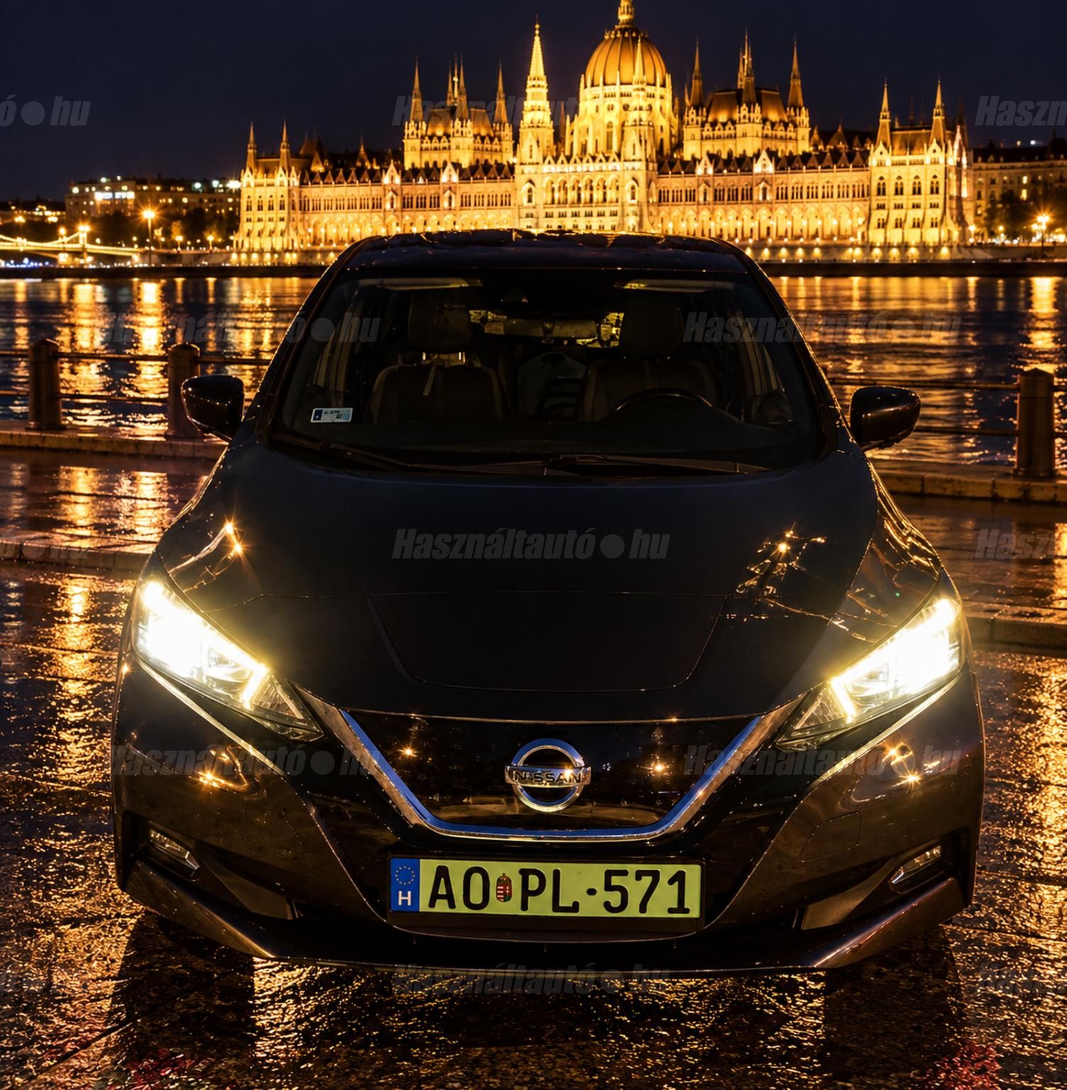 NISSAN LEAF 2019/12 - 1