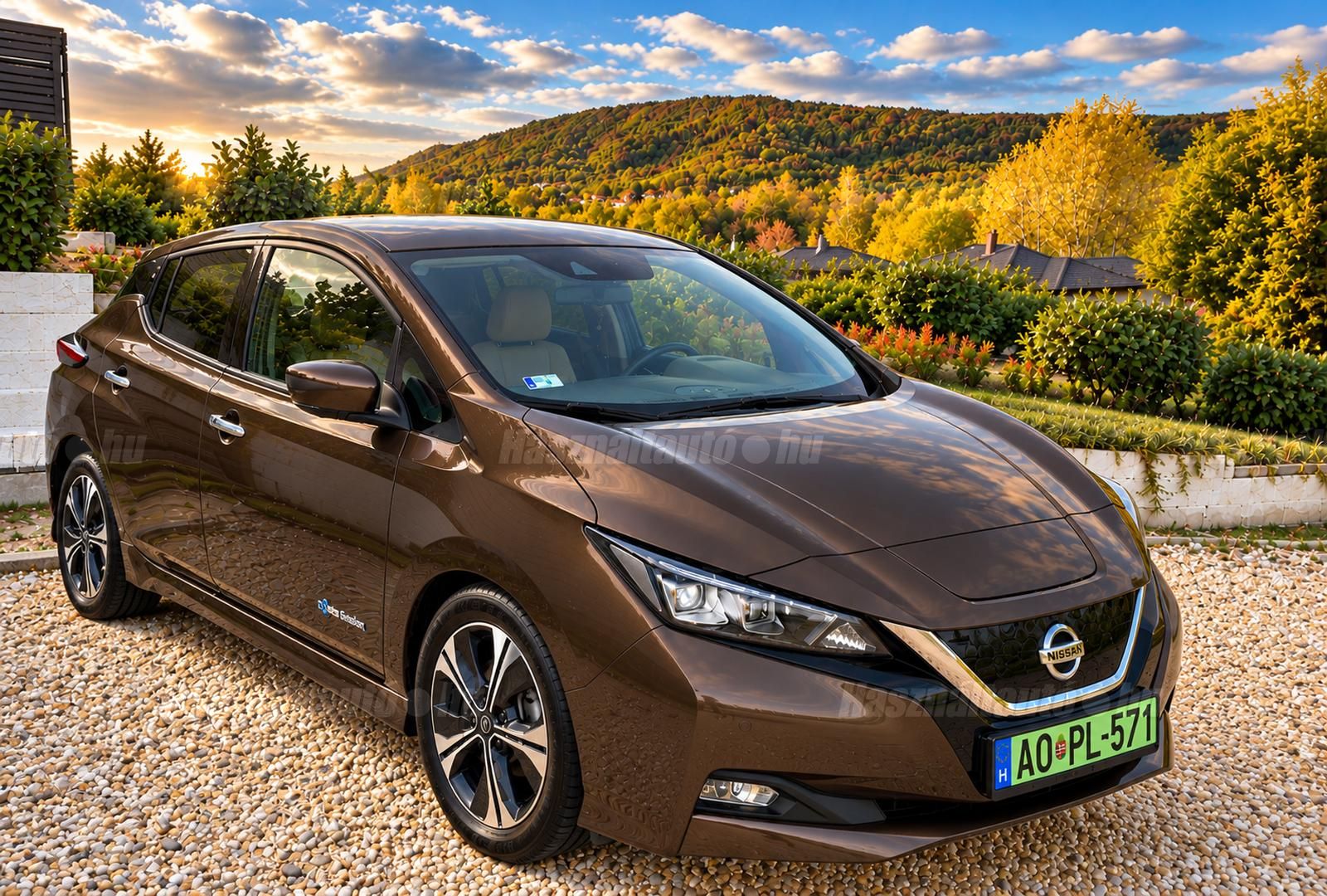 NISSAN LEAF 2019/12 - 1