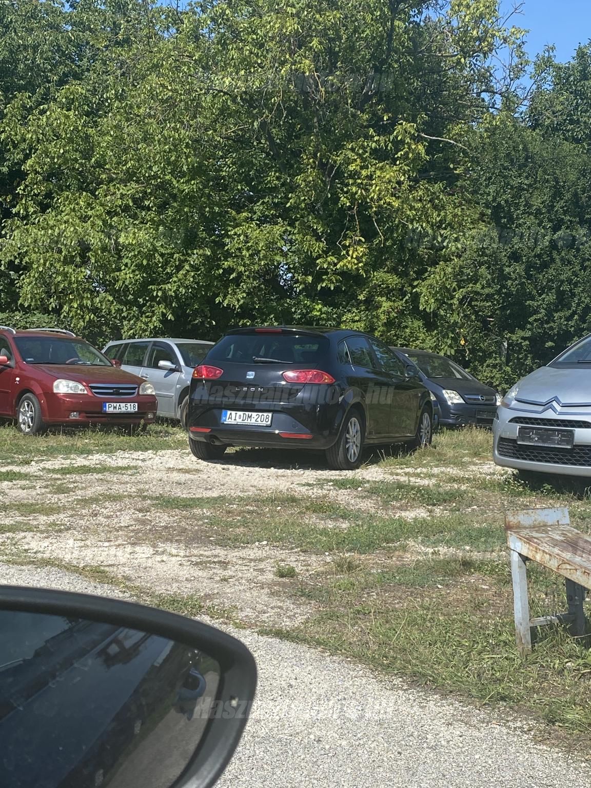 SEAT LEON 2010 - 1