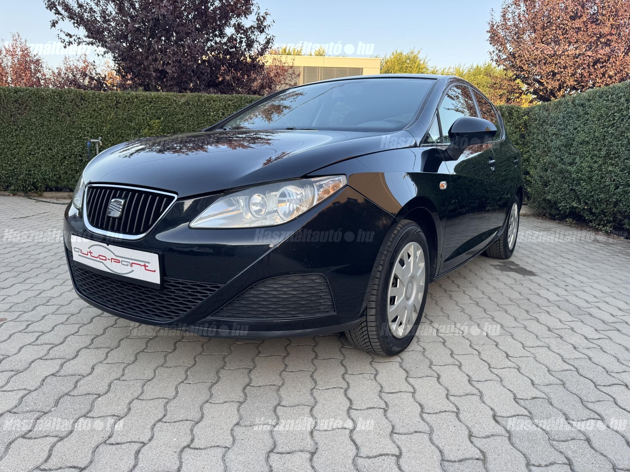 SEAT IBIZA 2010/1 - 1