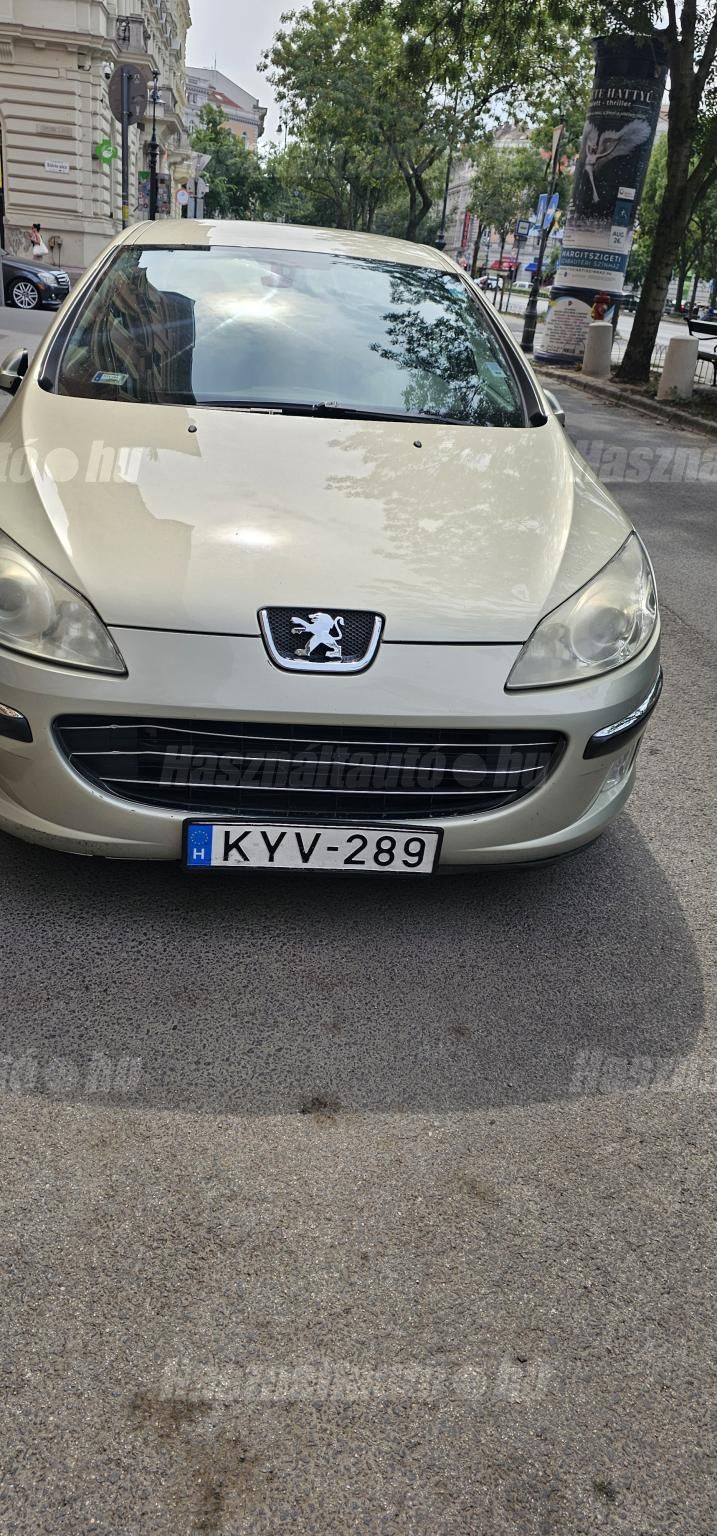 PEUGEOT 407 2006 - 1