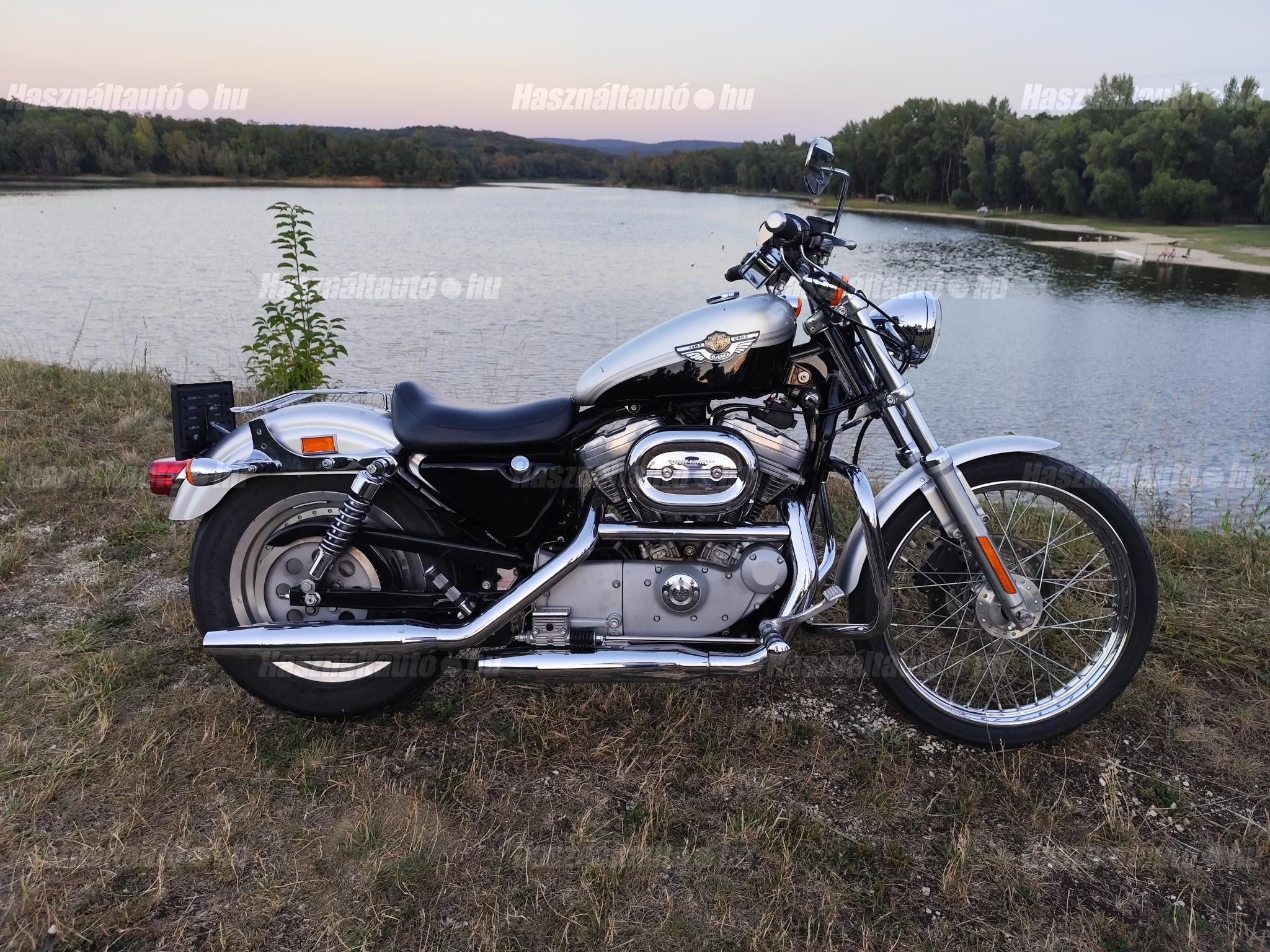 HARLEY-DAVIDSON SPORTSTER 883 2003/6 - 1
