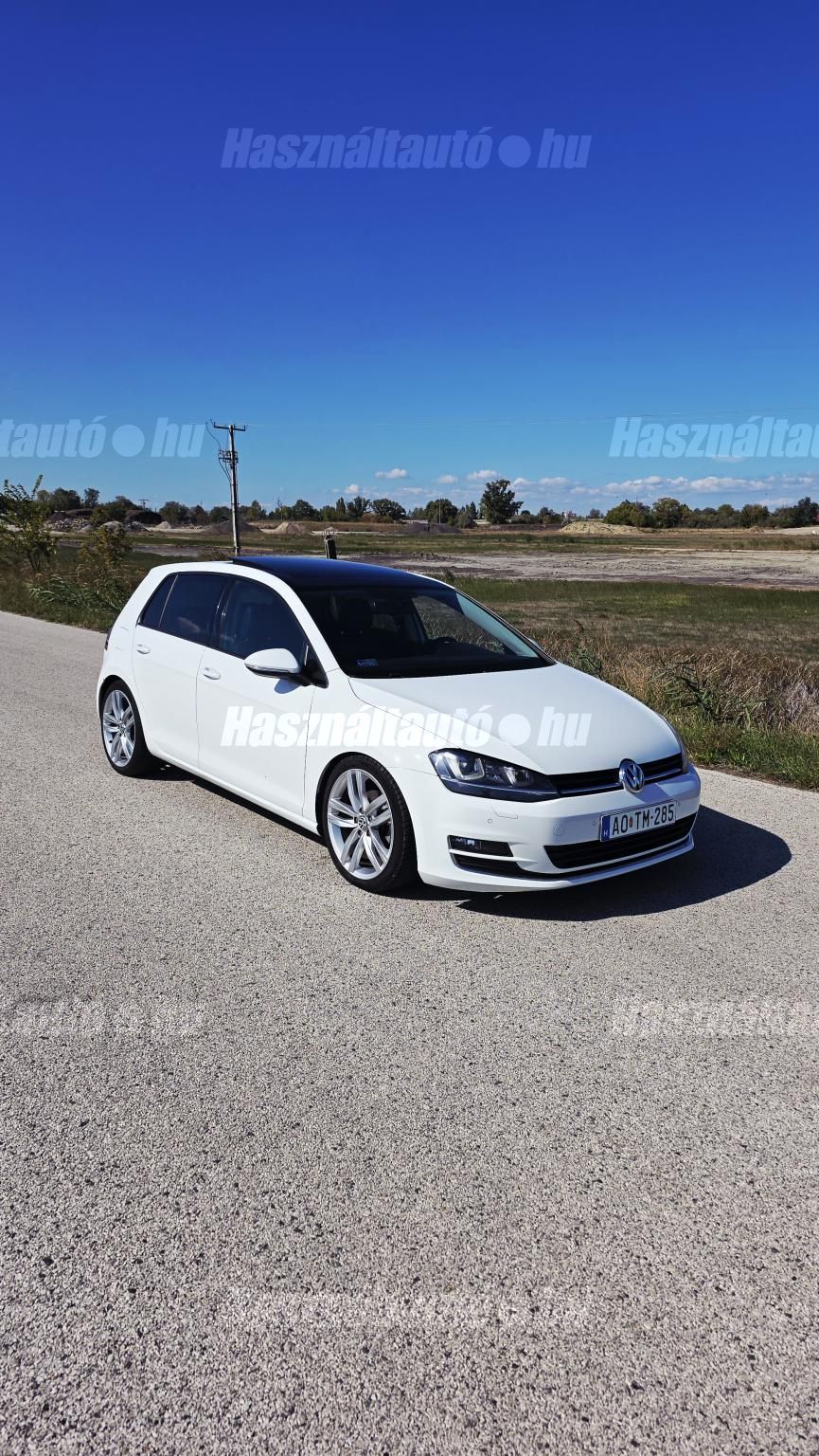 VOLKSWAGEN GOLF VII 2013/12 - 1