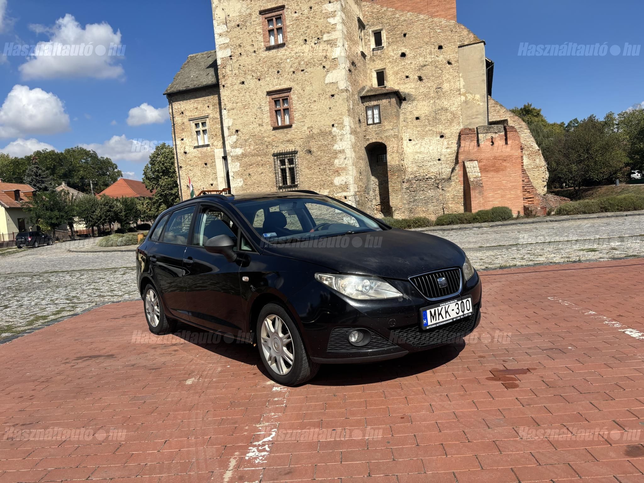 SEAT IBIZA 2011 - 1