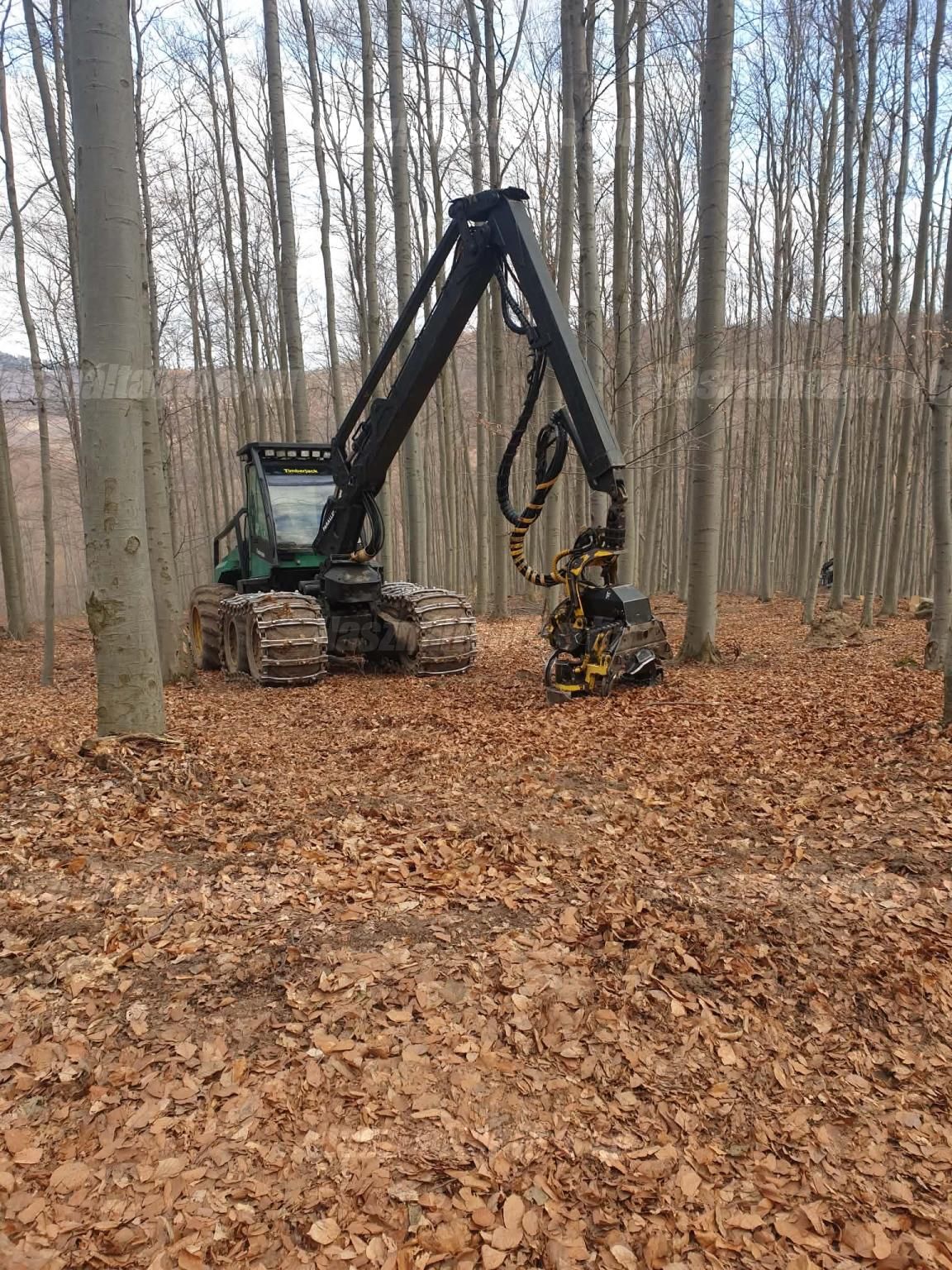 TIMBERJACK 2000 - 1