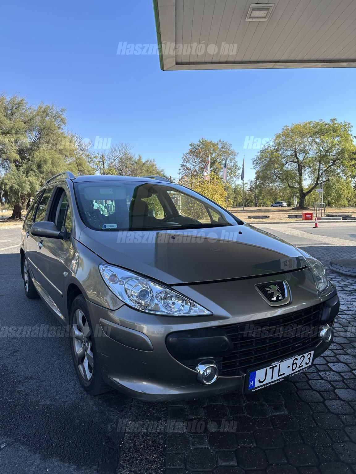 PEUGEOT 307 2006 - 1