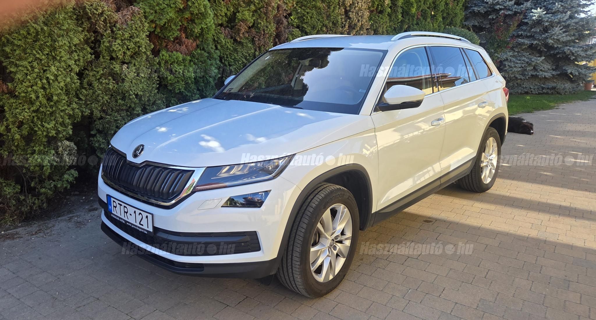SKODA KODIAQ 2019/10 - 1