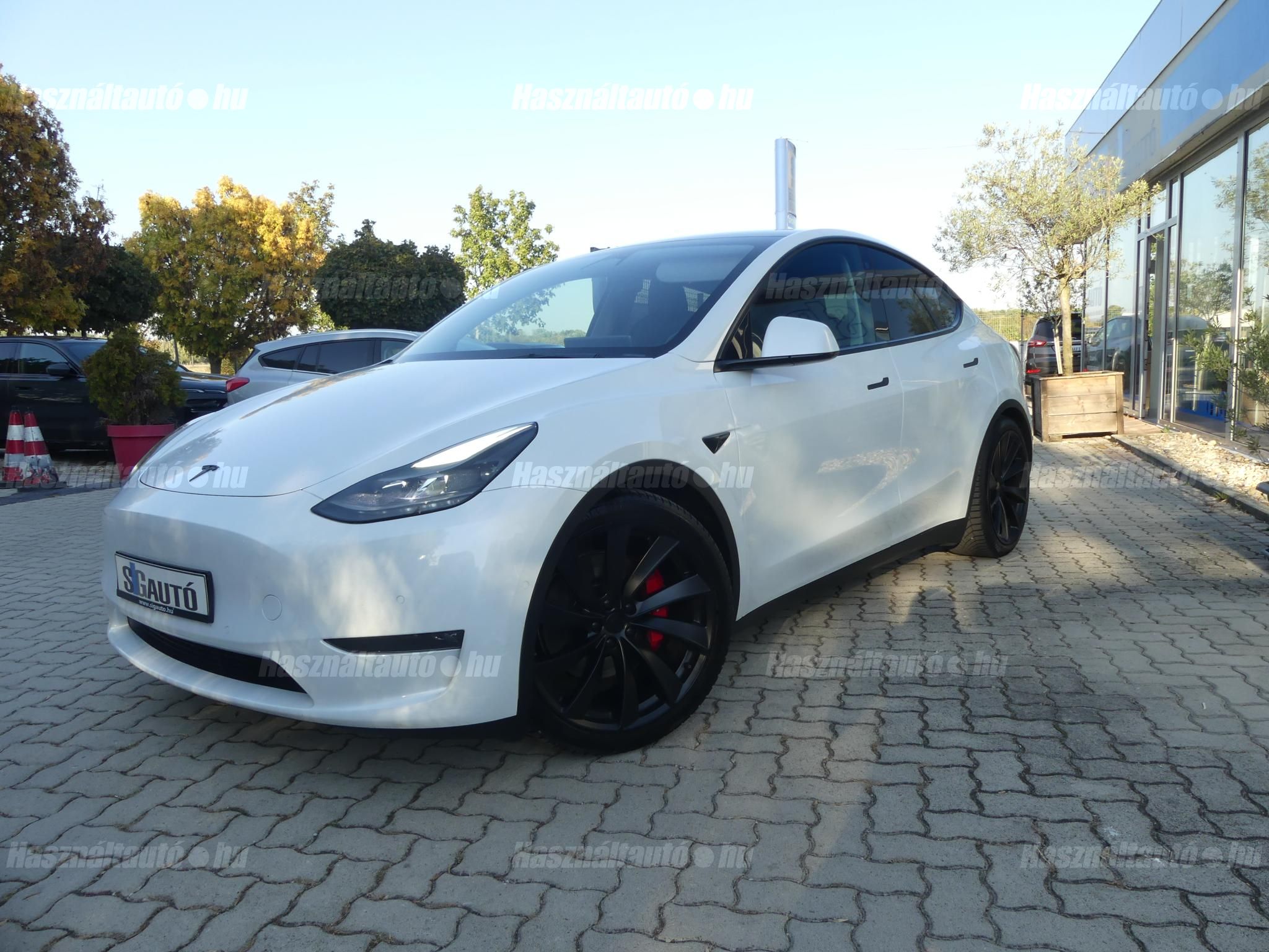 TESLA MODEL Y 2022/8 - 1