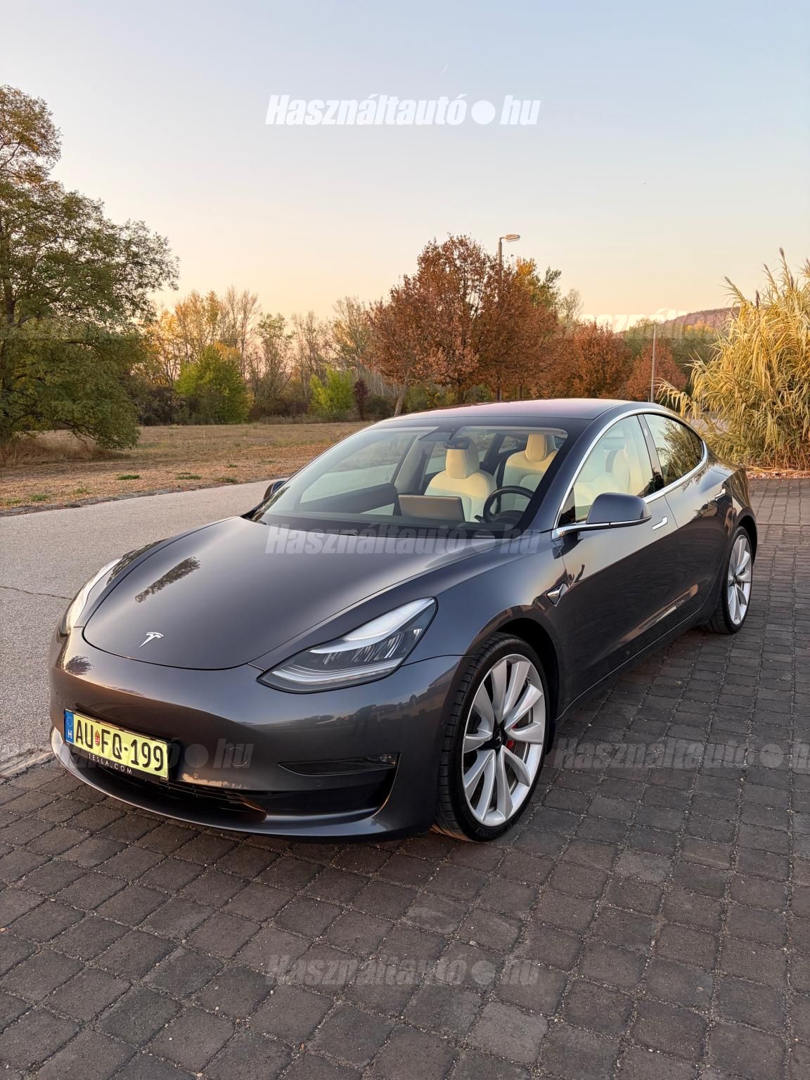 TESLA MODEL 3 2019/7 - 1
