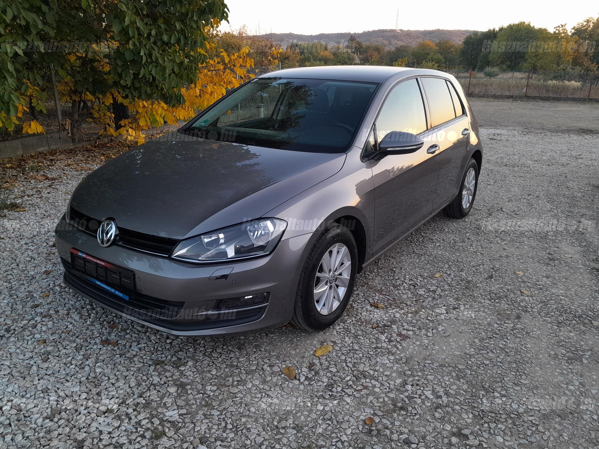 VOLKSWAGEN GOLF VII 2013/7 - 1
