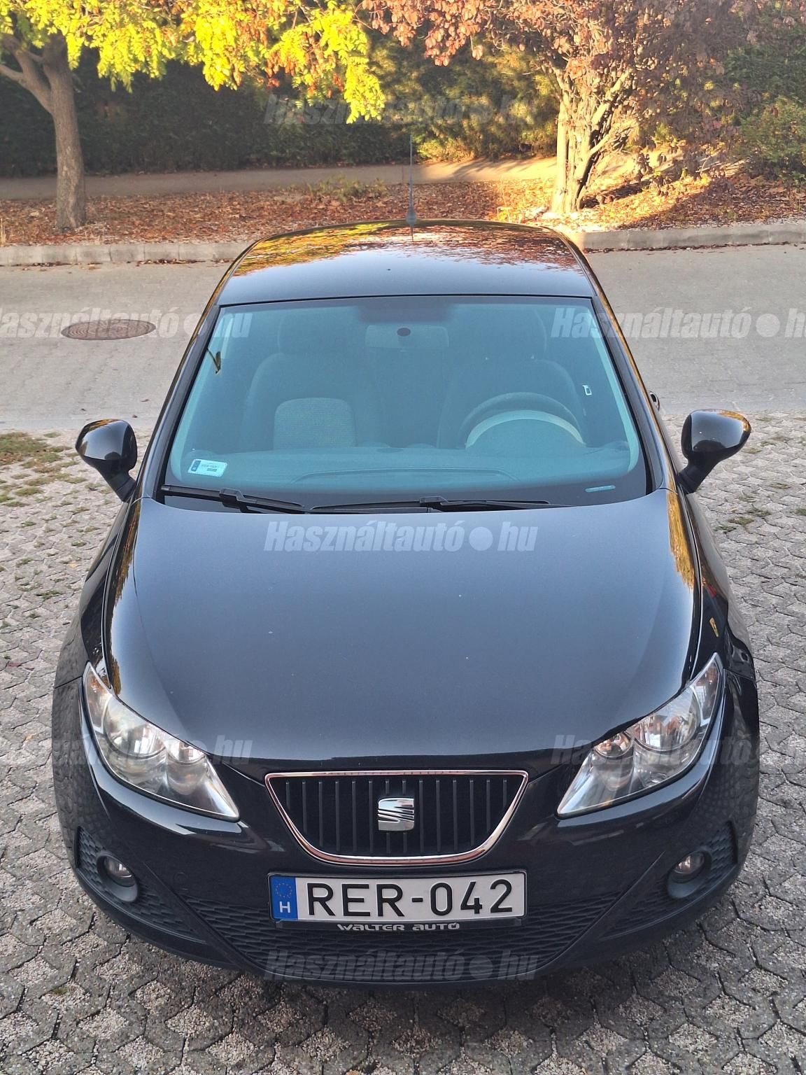 SEAT IBIZA 2009/8 - 1