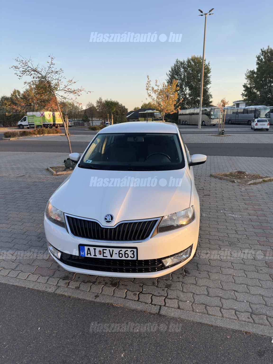 SKODA RAPID 2014/3 - 1