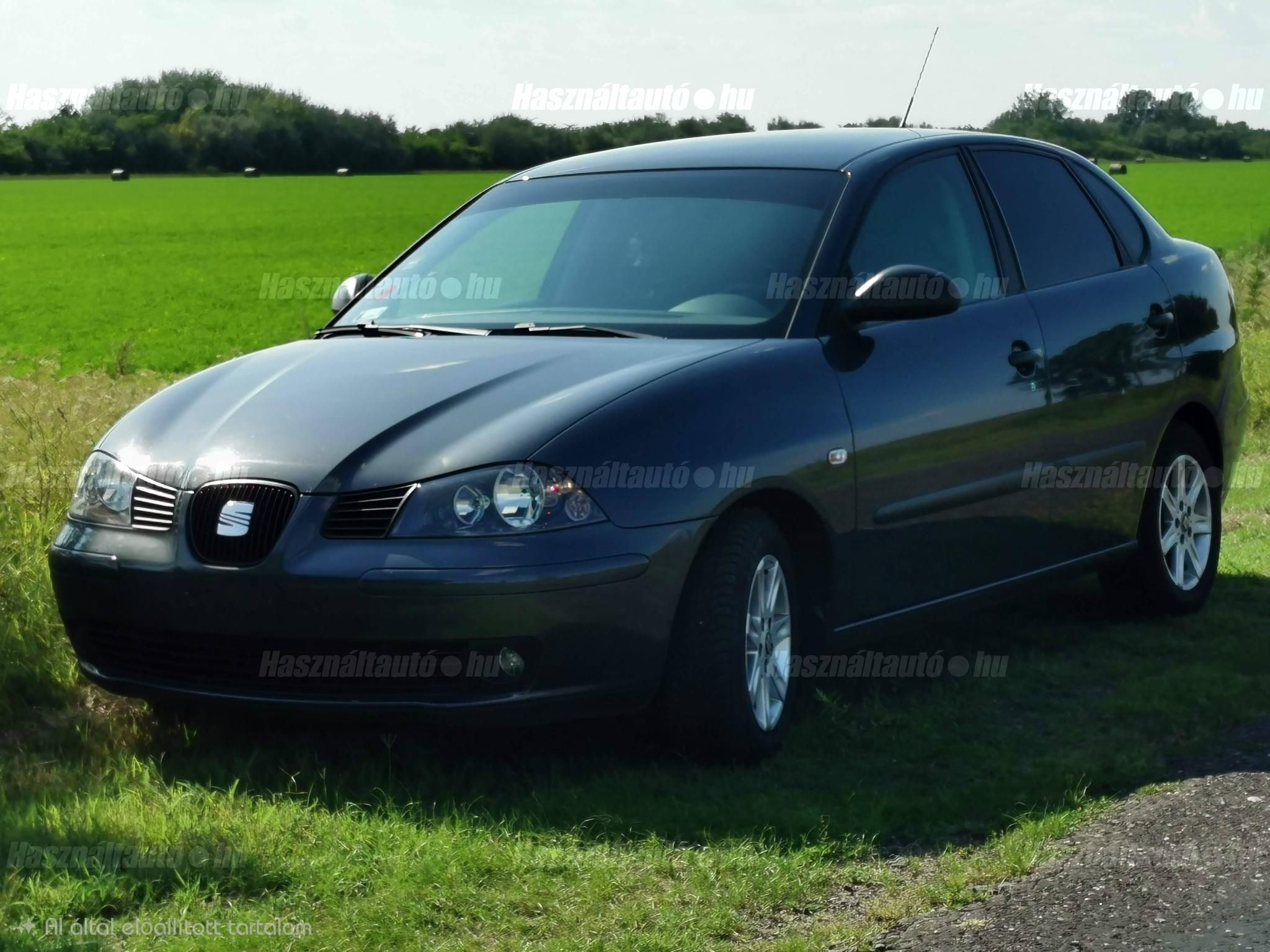 SEAT CORDOBA 2008/1 - 1