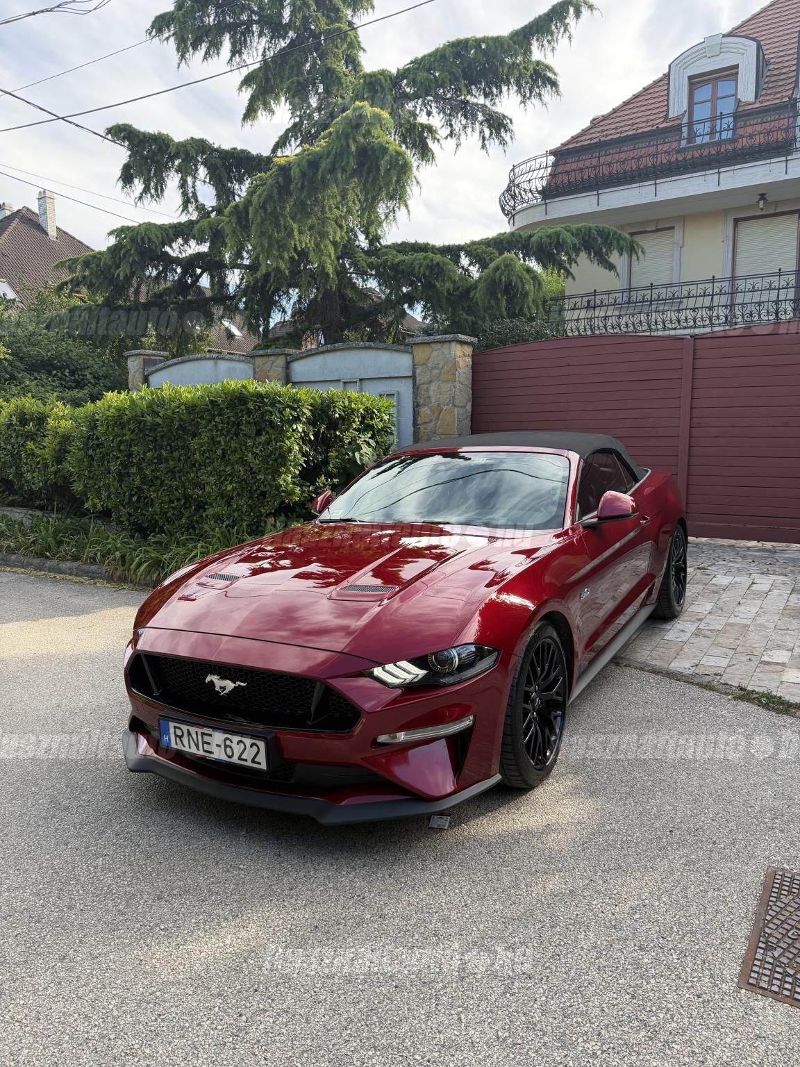 FORD MUSTANG 2019/6 - 1