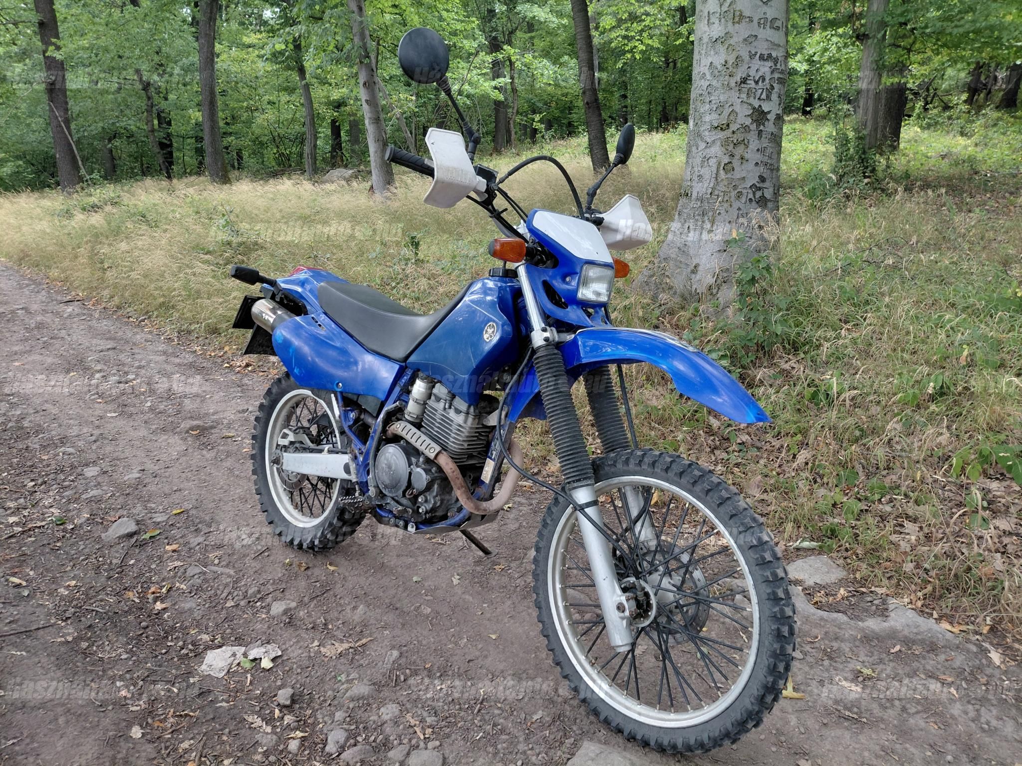 YAMAHA TT 250 R 2004/7 - 1